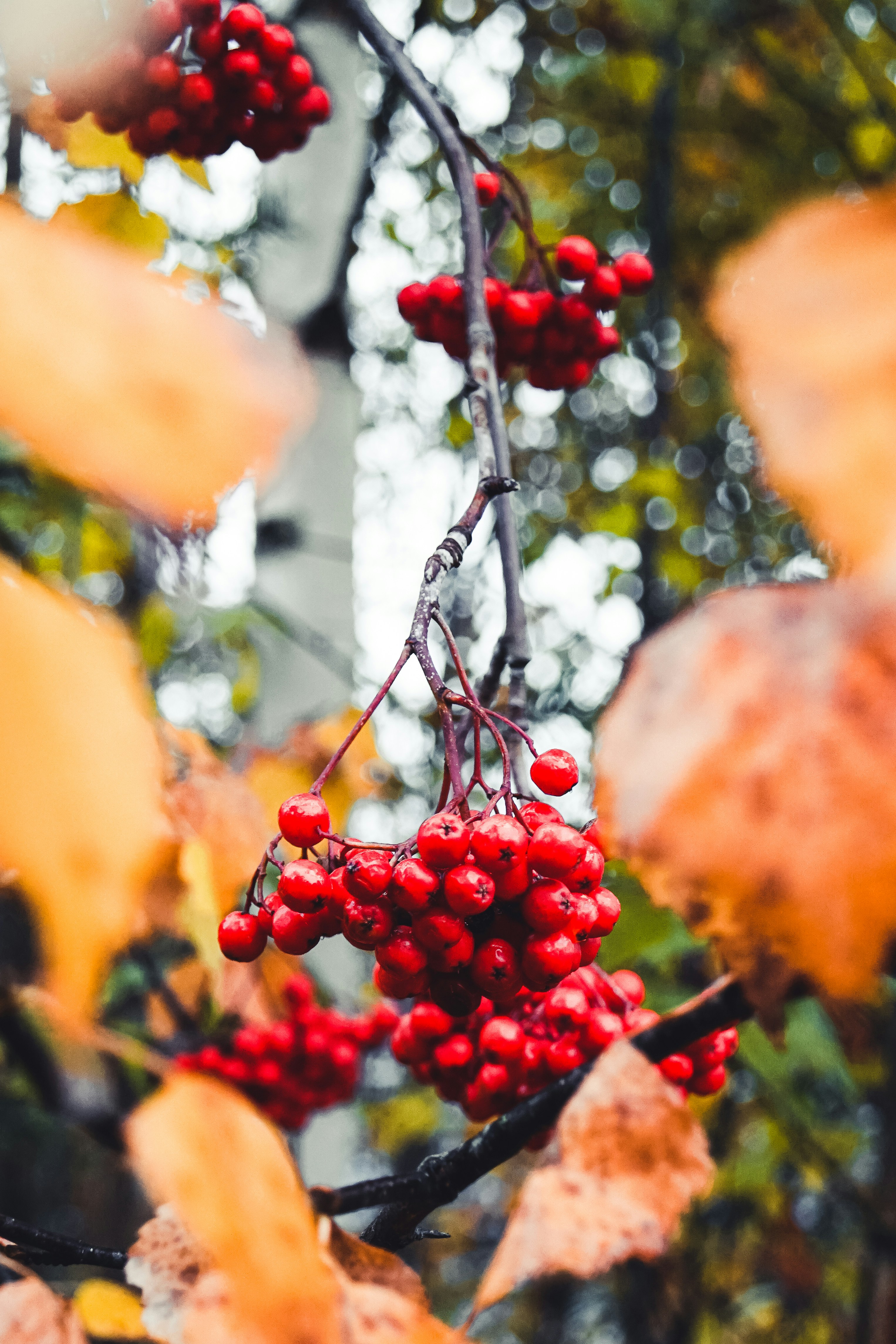 Photo by teddywithfilm