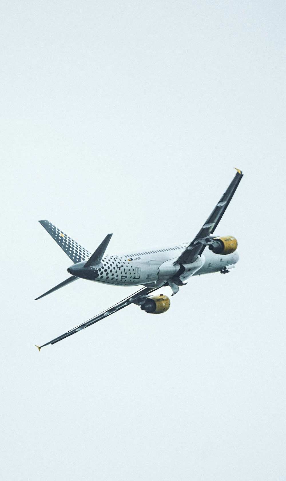 a large jetliner flying through a cloudy sky