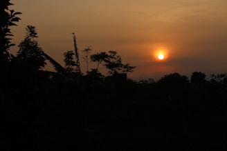 A serene landscape with a sunset, symbolizing connection and warmth.