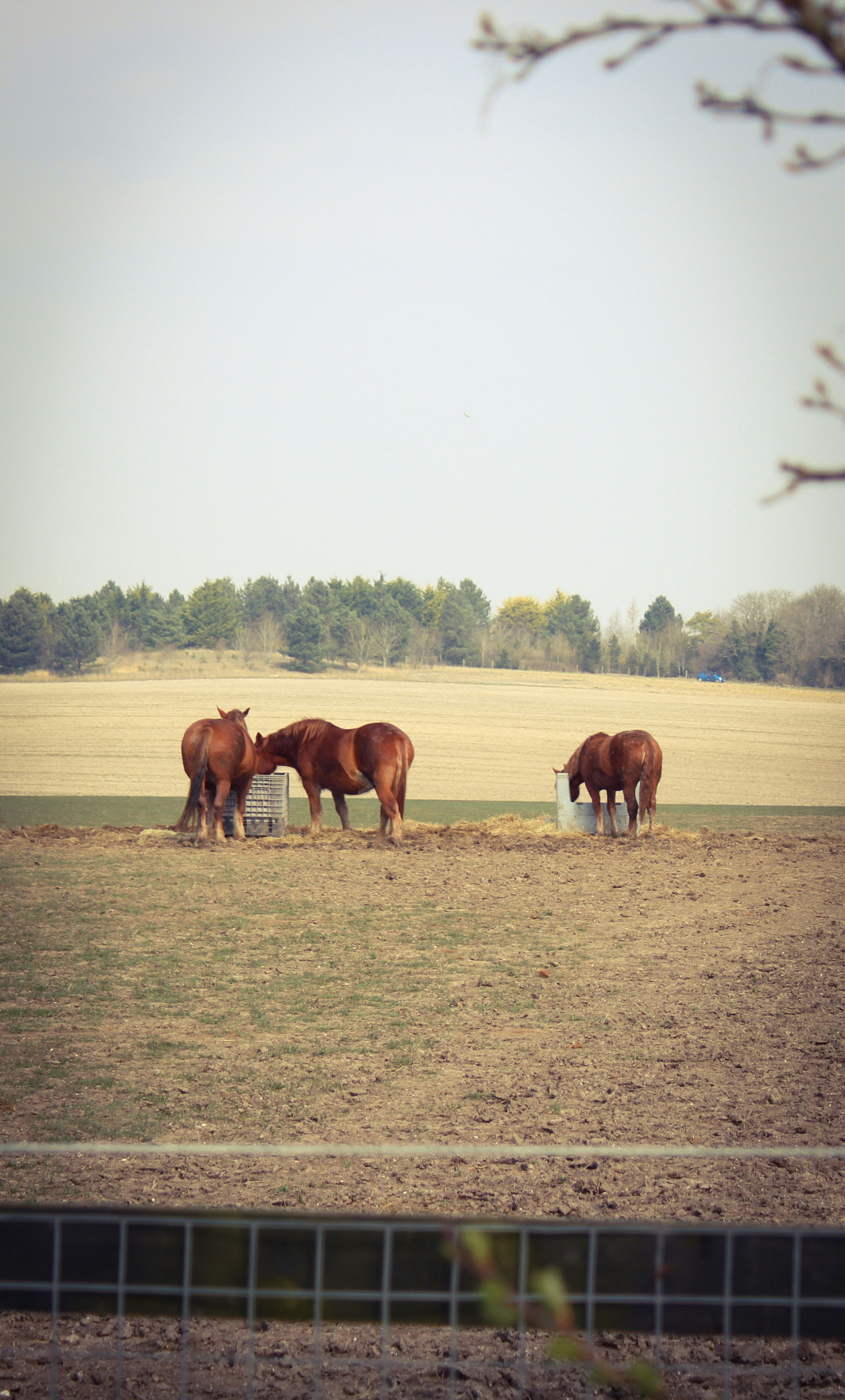 Photo by balesphotographyco