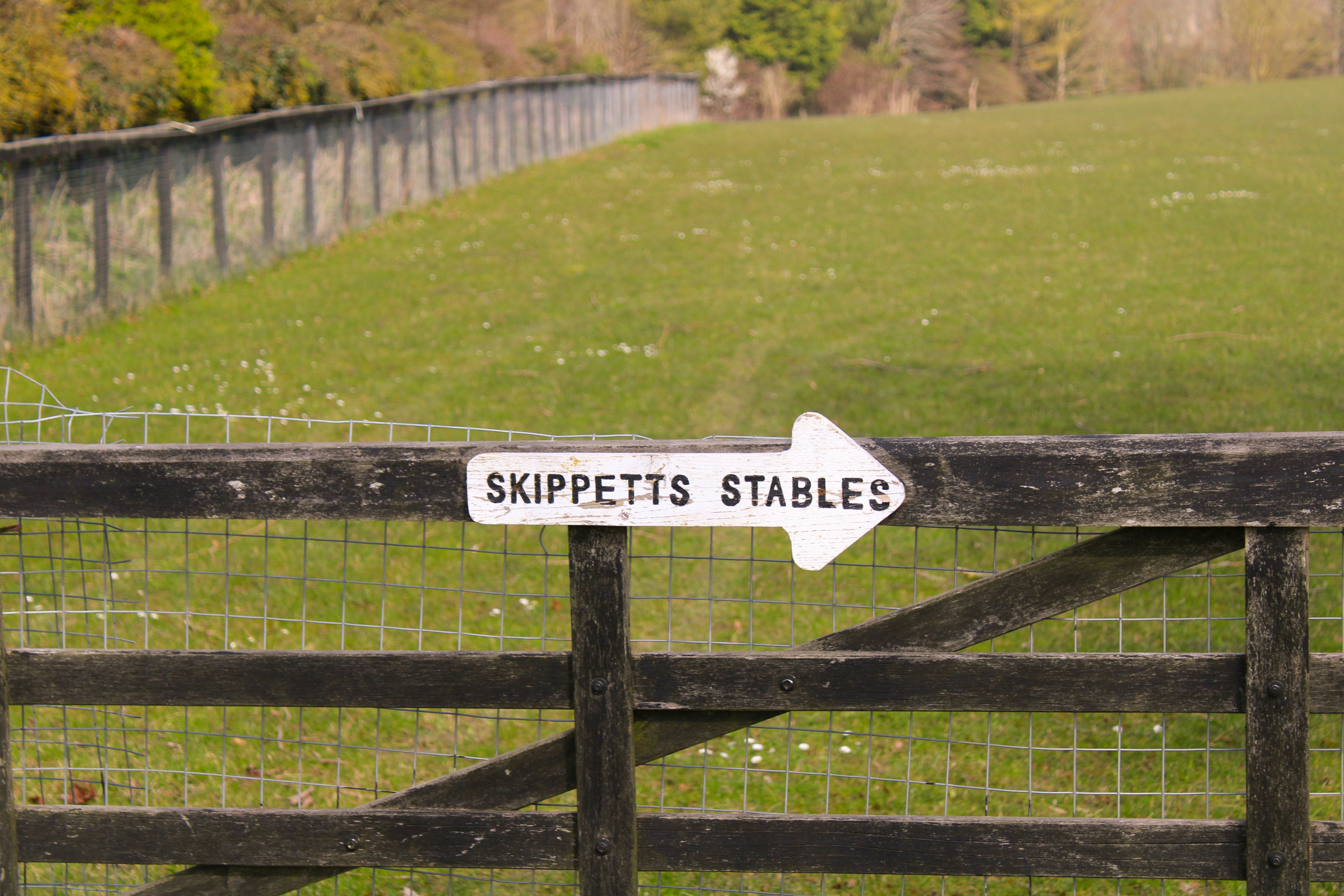 a wooden fence with a sign pointing to a grassy field (Photo by balesstudio on Unsplash)