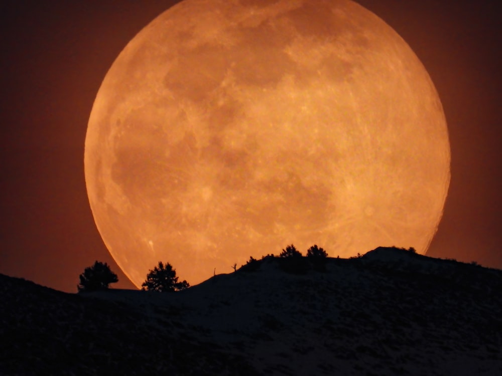 a full moon is seen in the sky above a hill