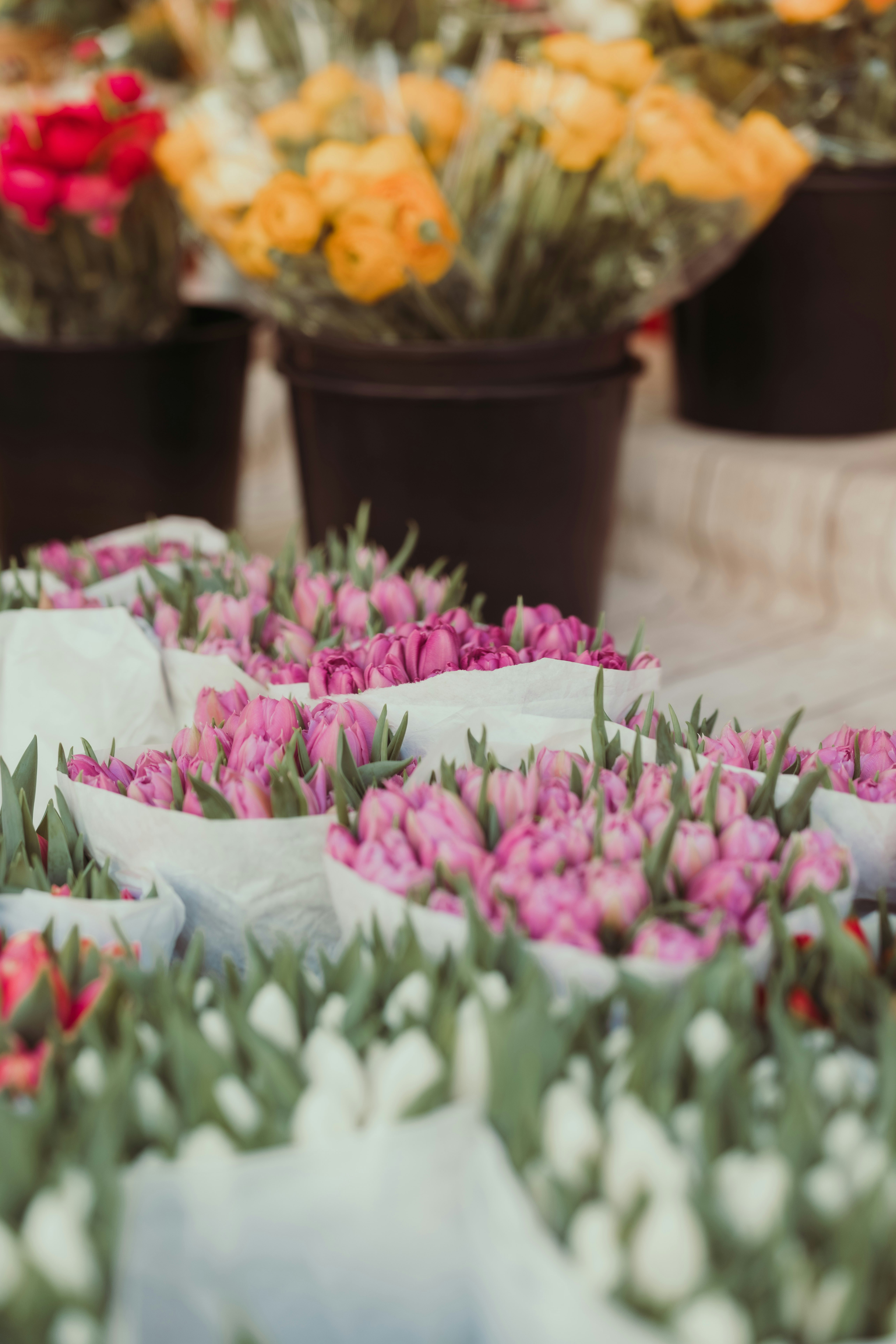 Photo by patresinger