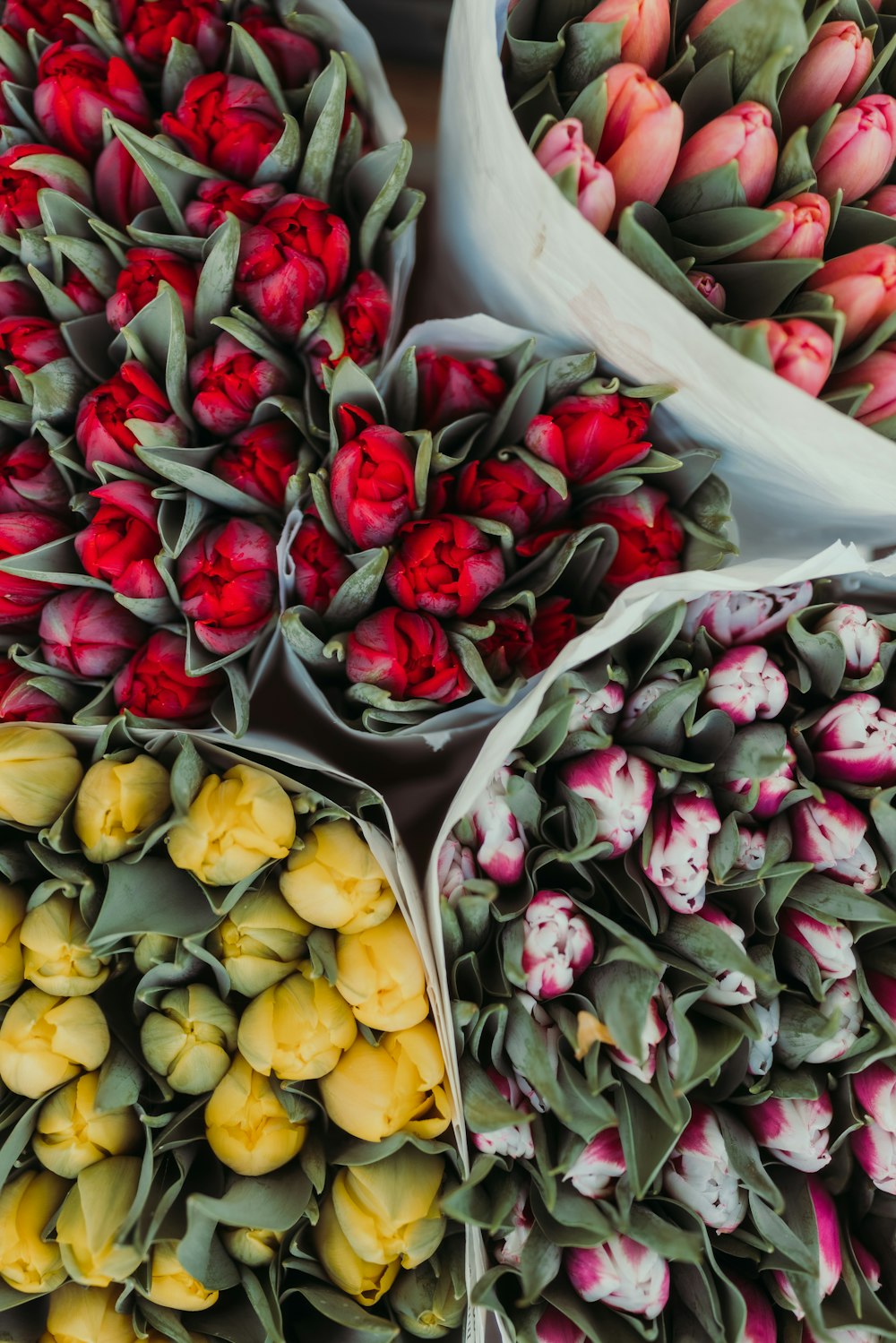 un bouquet de tulipes qui sont dans un bouquet