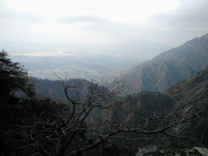 Katra