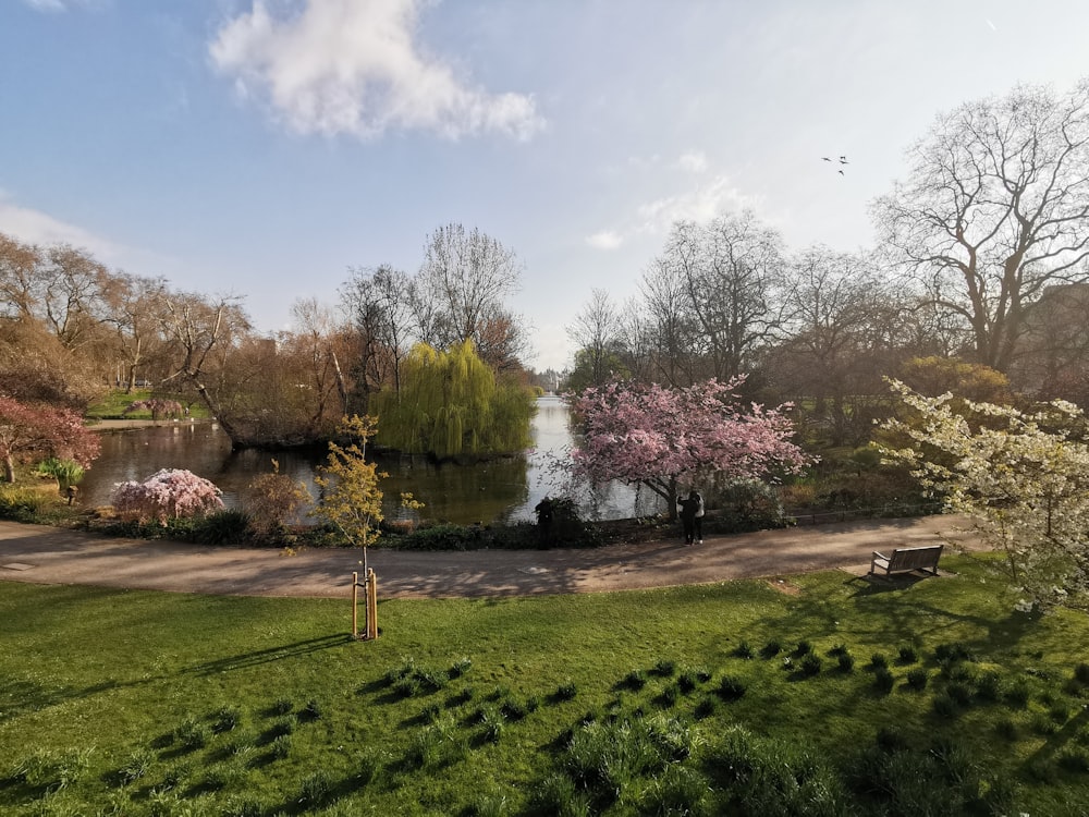 a view of a park with a pond and trees