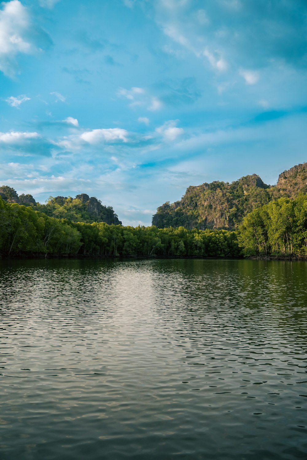 Un cuerpo de agua rodeado de exuberantes árboles verdes