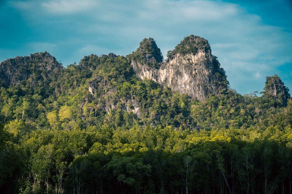 a group of mountains with trees in the foreground