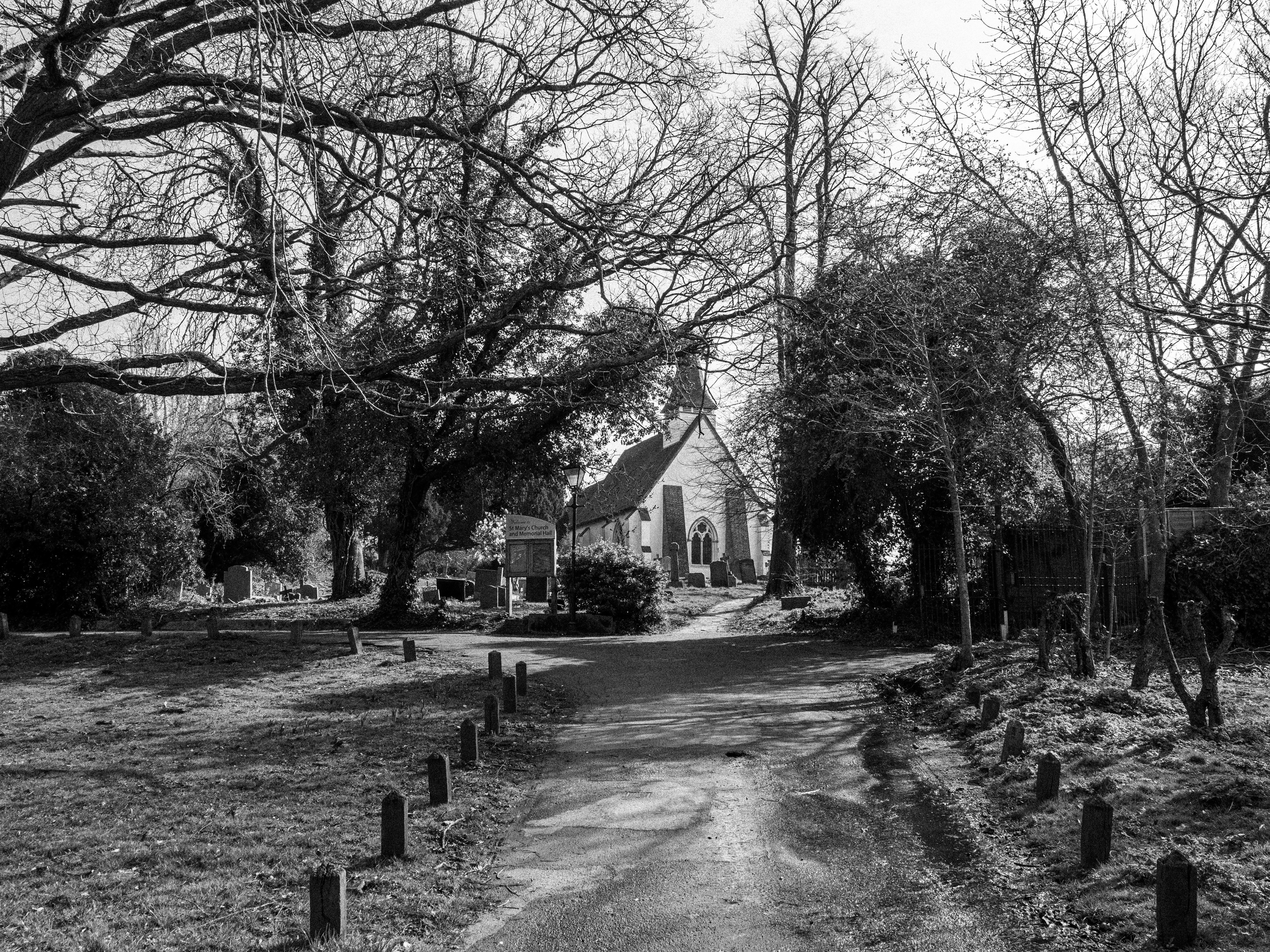 Photo by brett_jordan