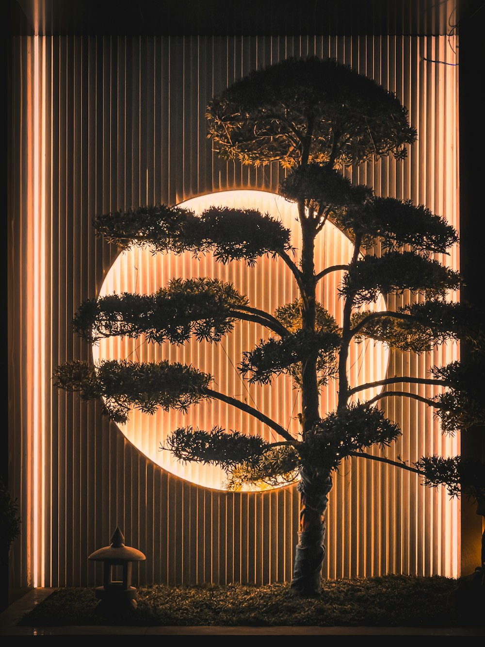a bonsai tree in front of a full moon