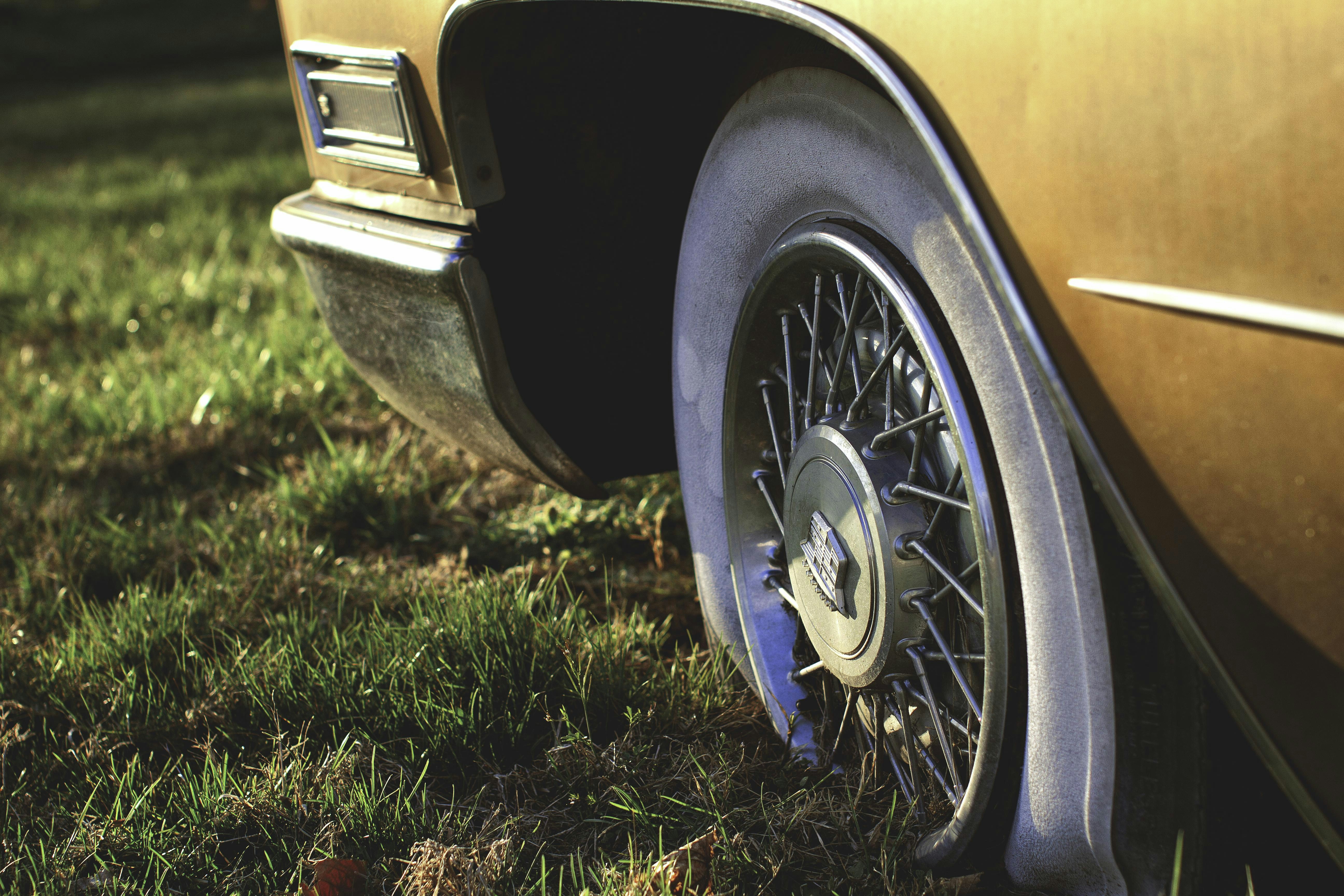 Photo by blind_rhino_media