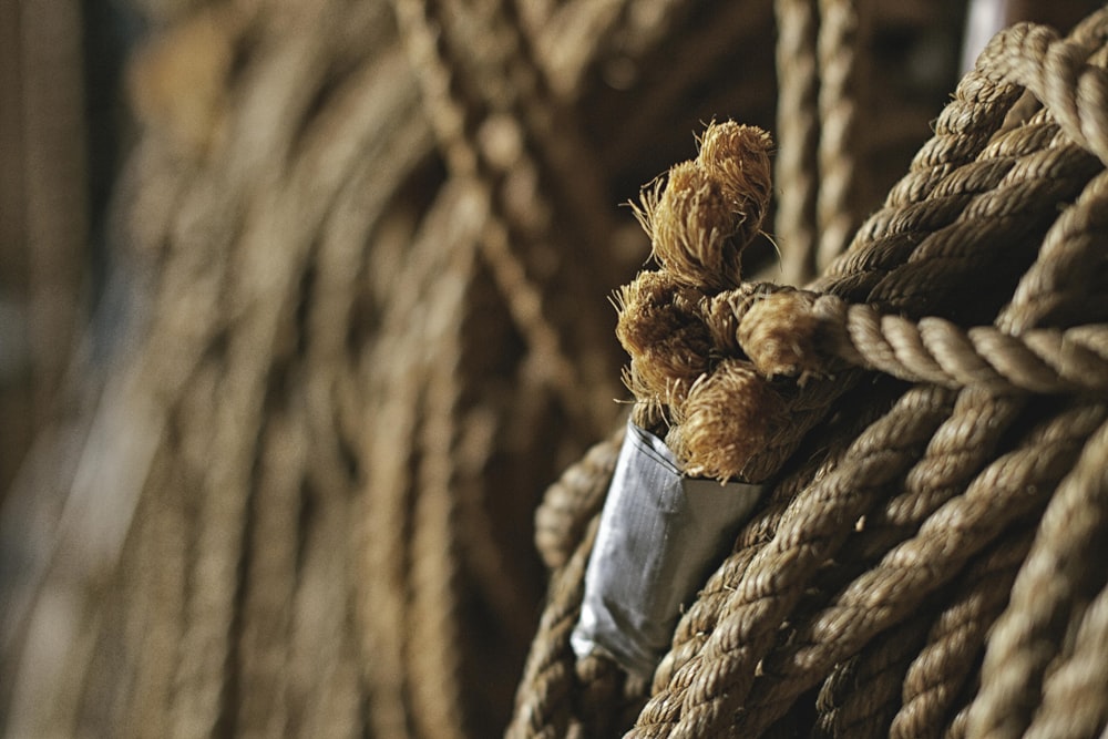 a close up of a bunch of rope
