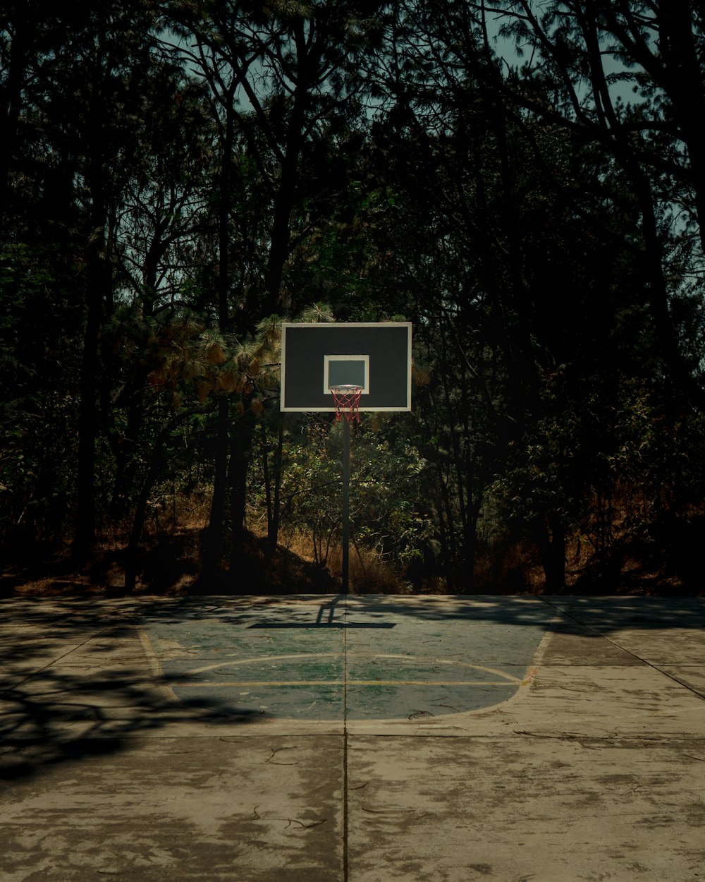 a basketball court in the middle of a wooded area