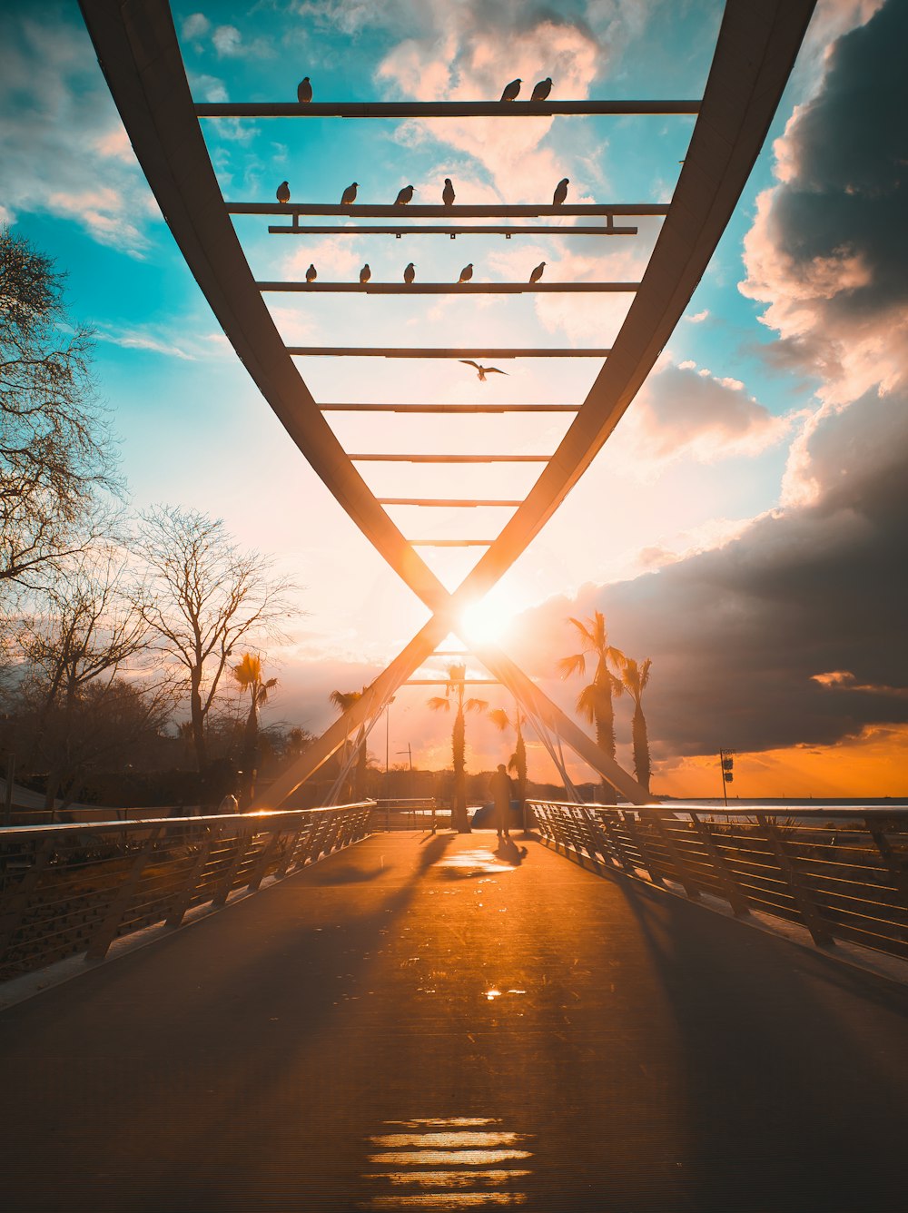 a bridge with birds sitting on top of it