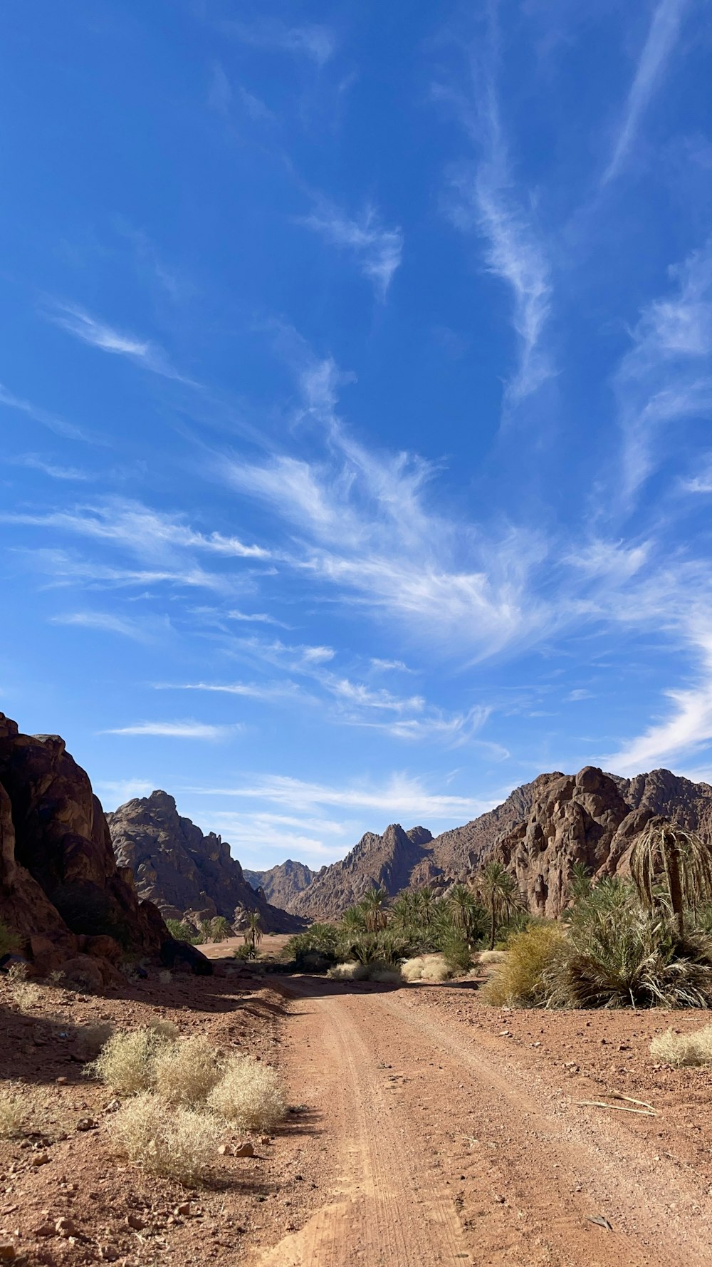 a dirt road in the middle of a desert