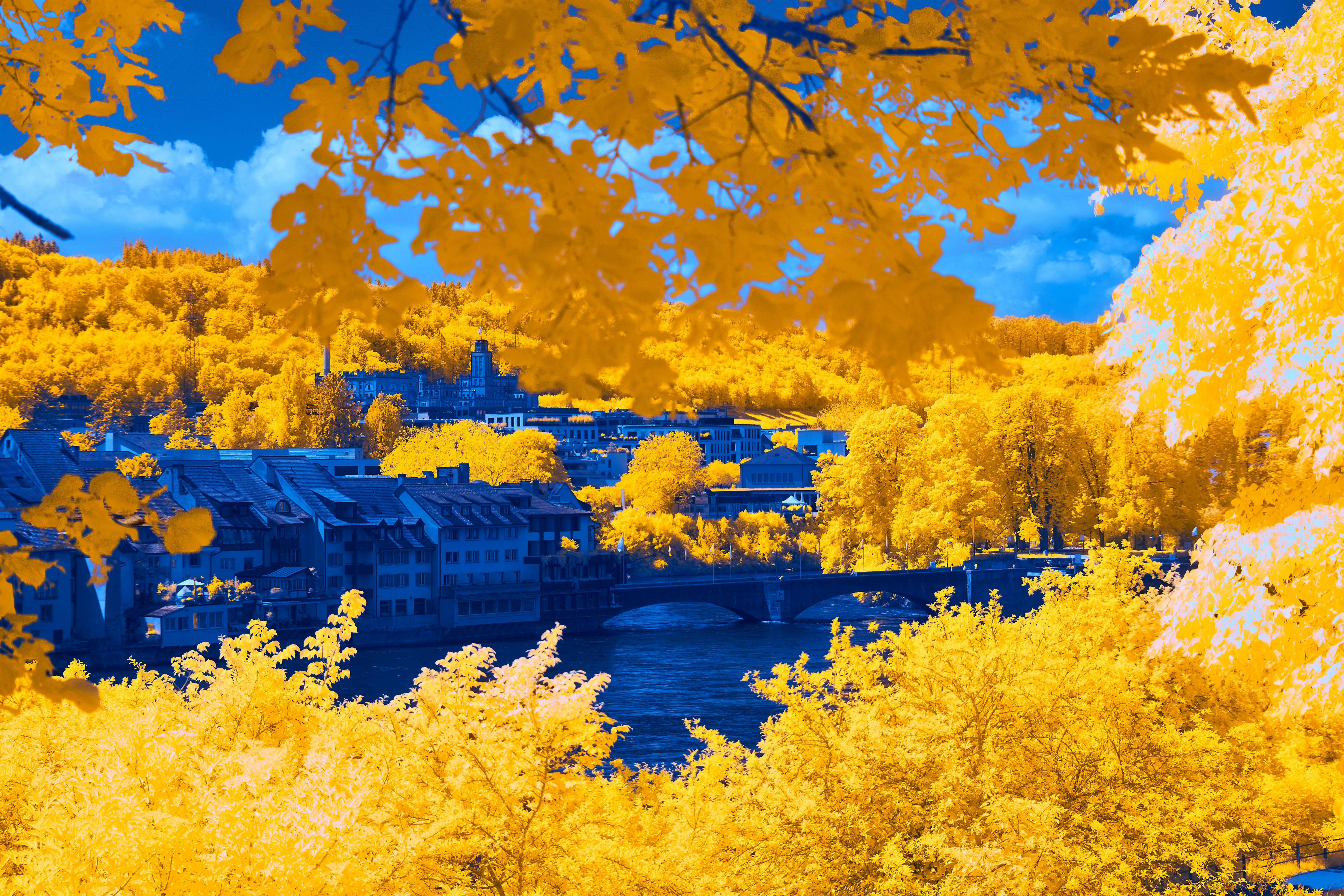 Photo by wolfgang_hasselmann