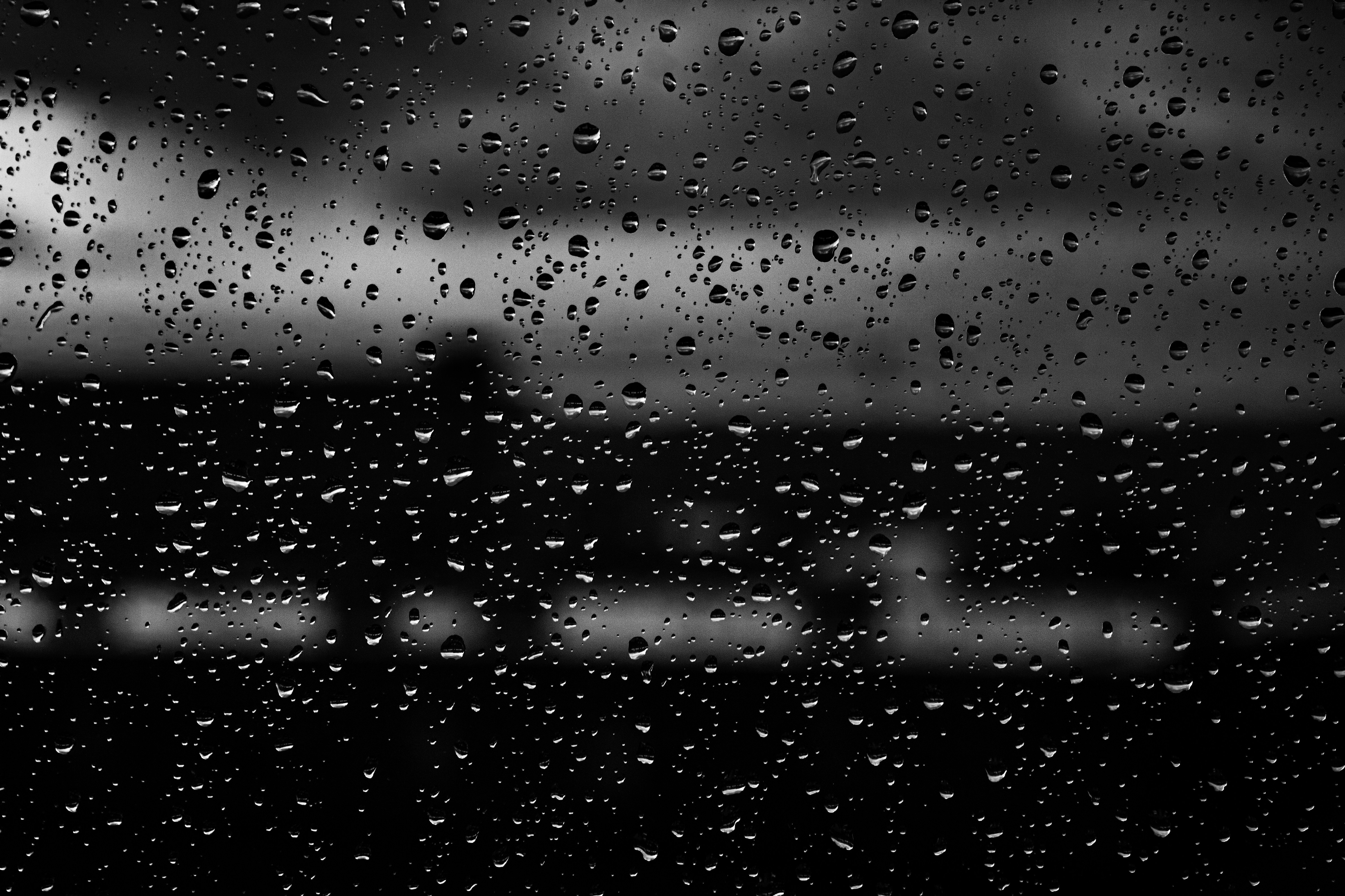 Photo by realalexthelion