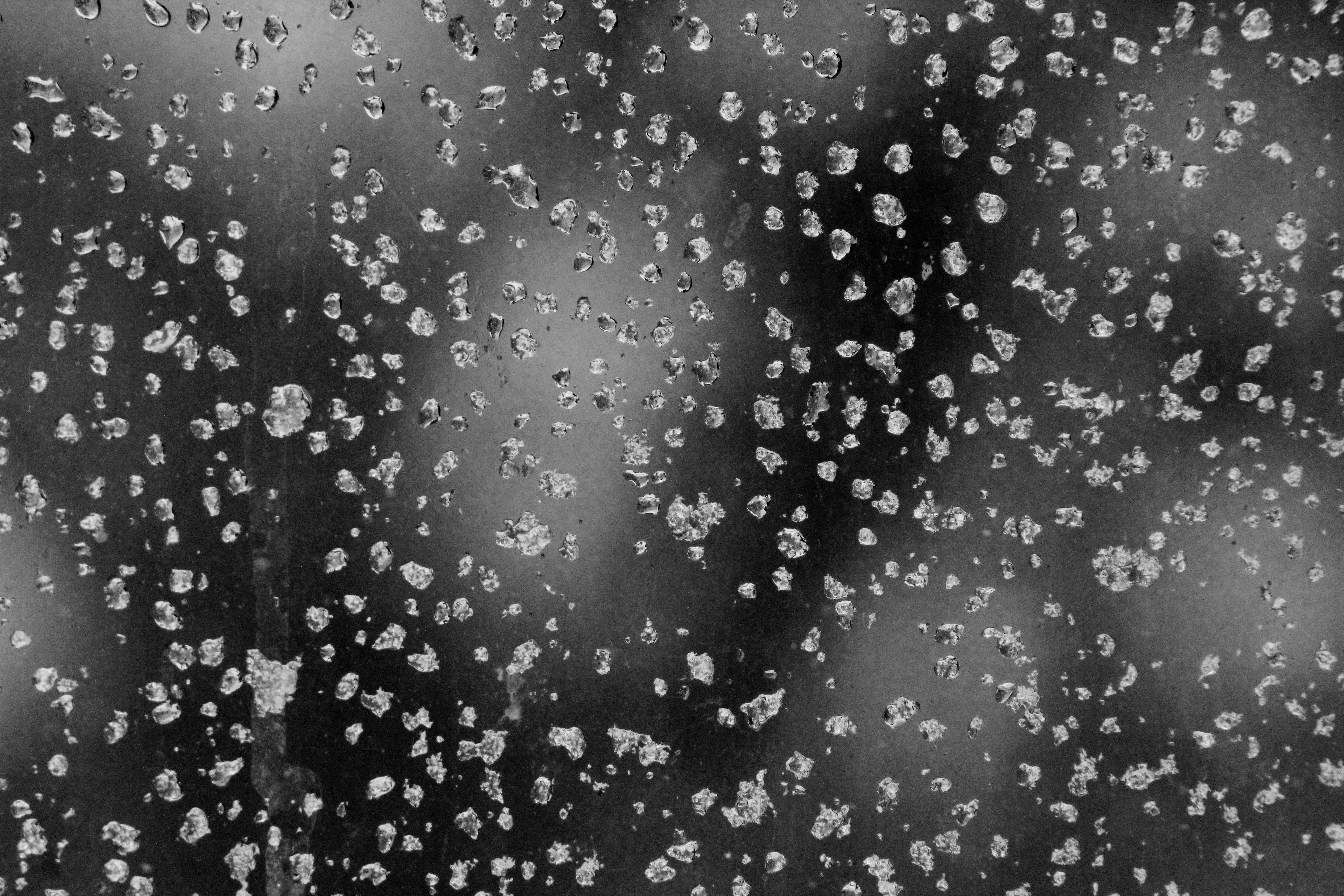 Photo by pattitorcik