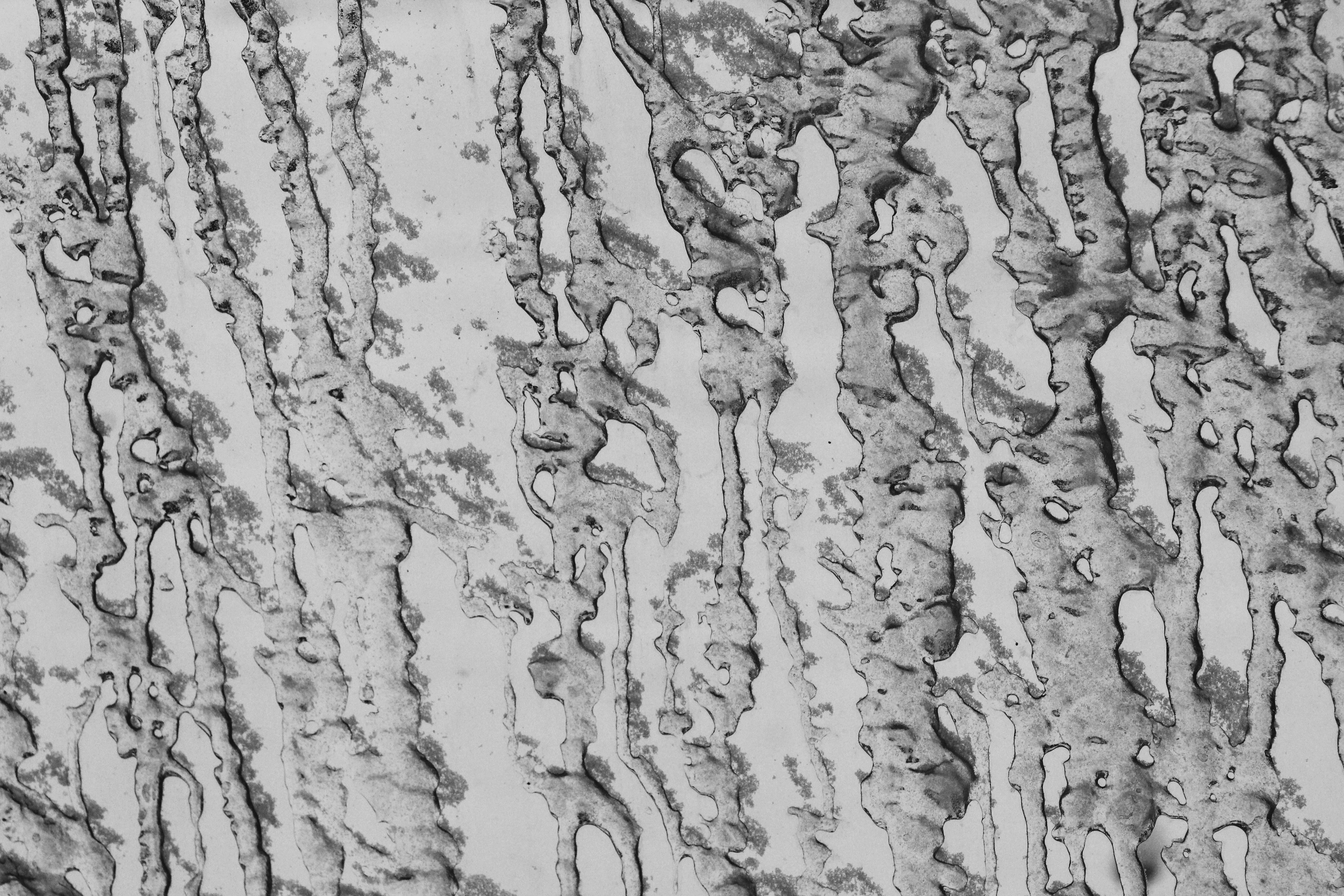 Photo by pattitorcik