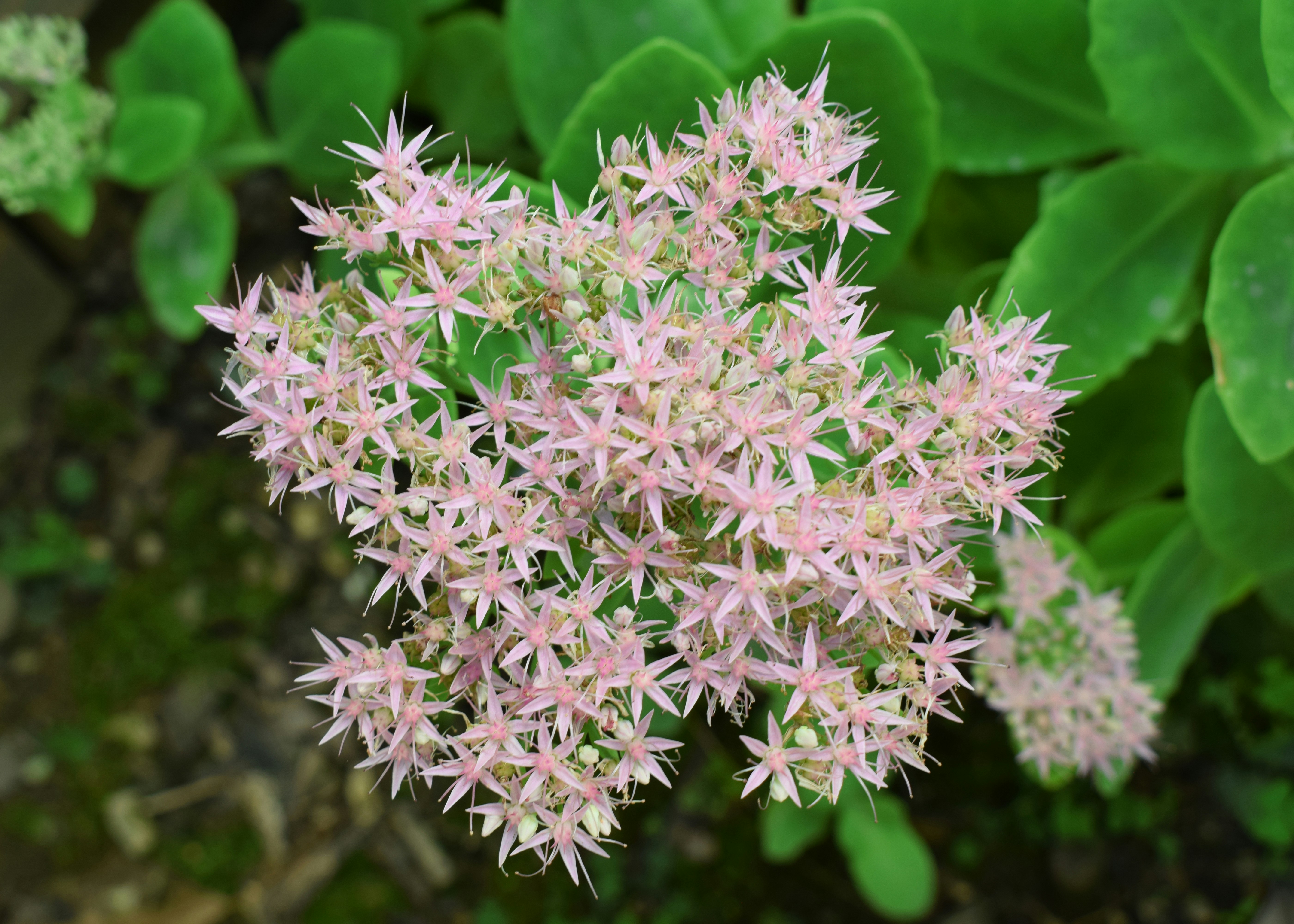 Photo by svaughn1984