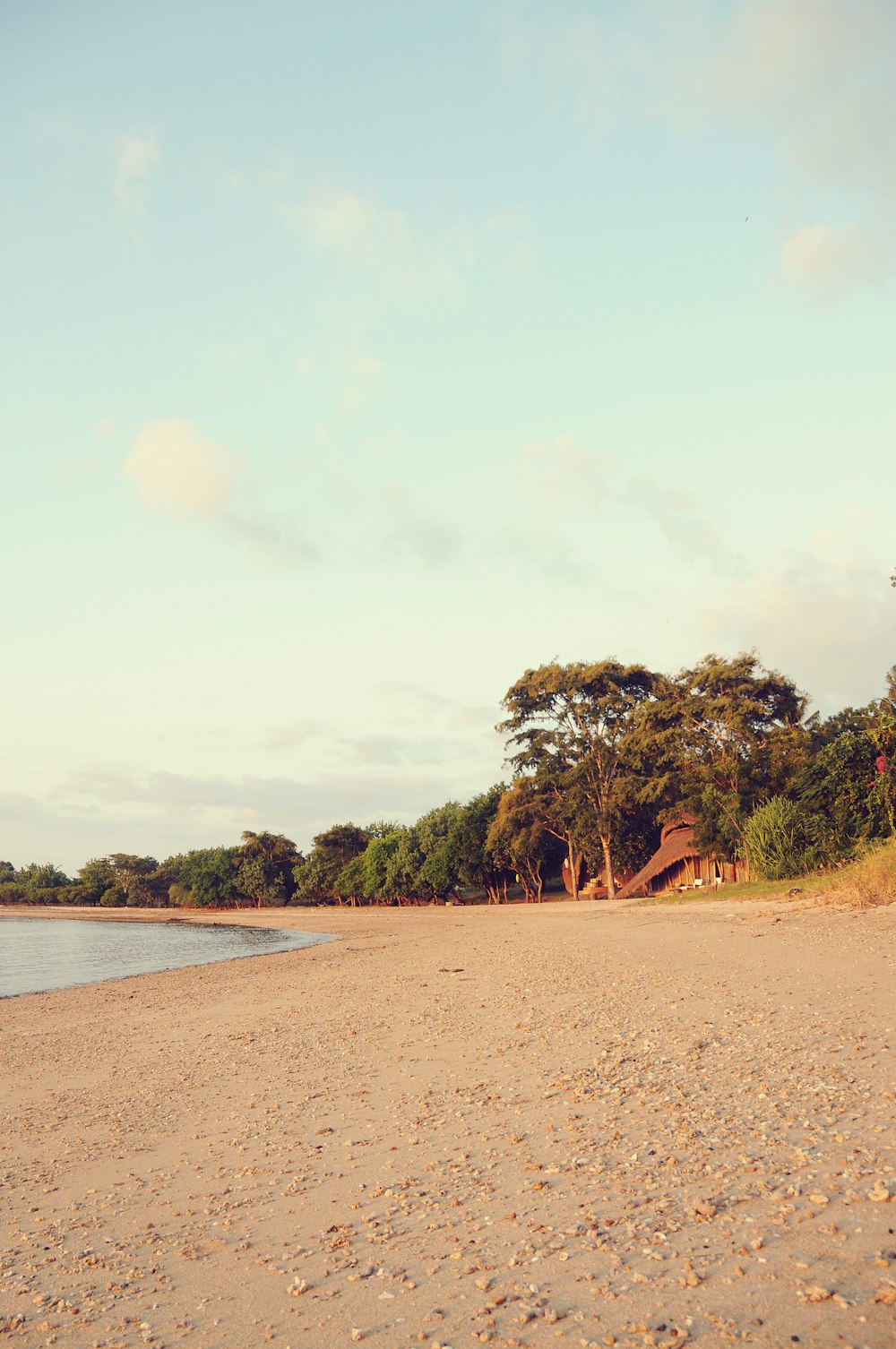 a sandy beach next to a body of water