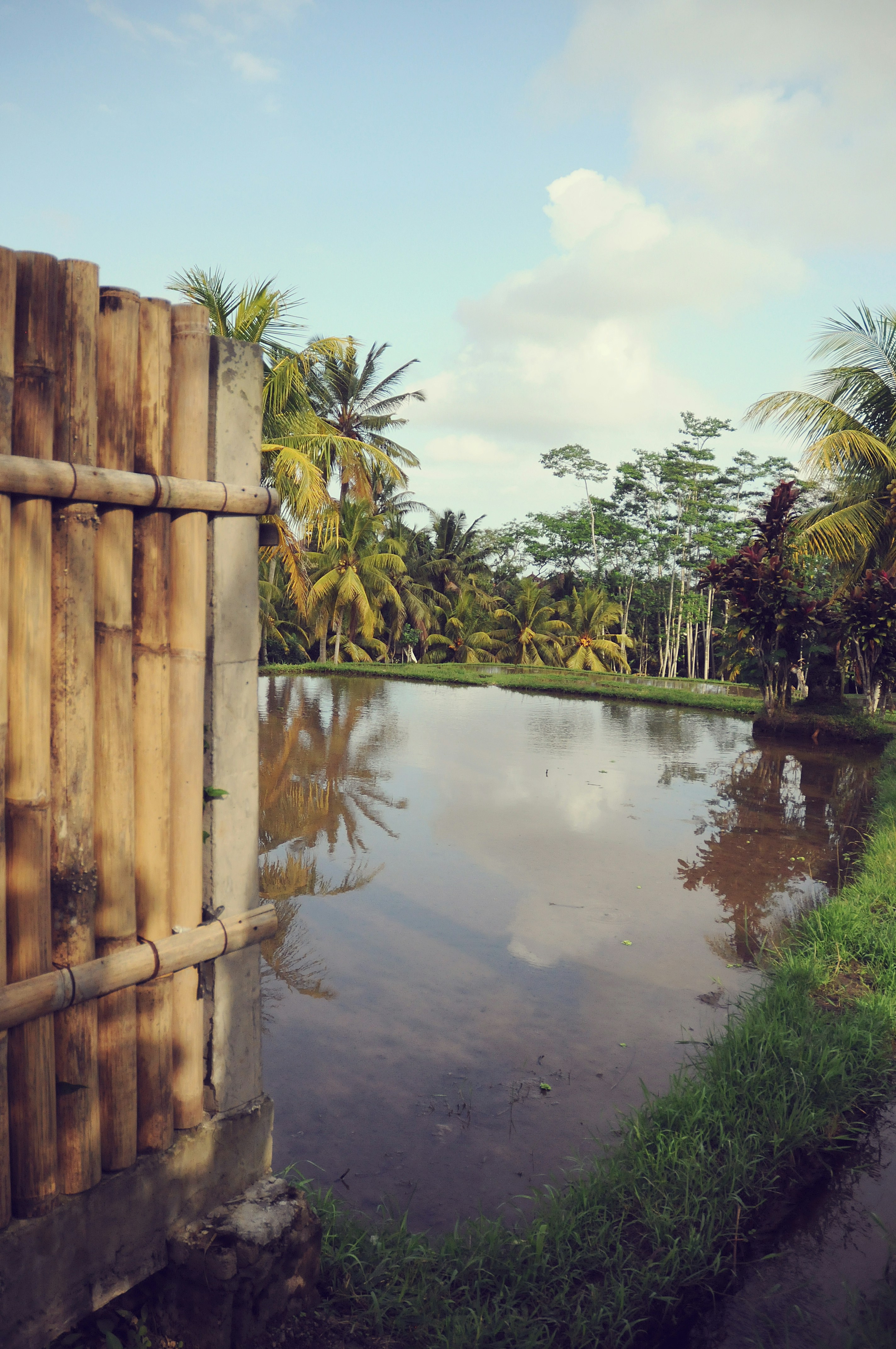 a large body of water surrounded by palm trees