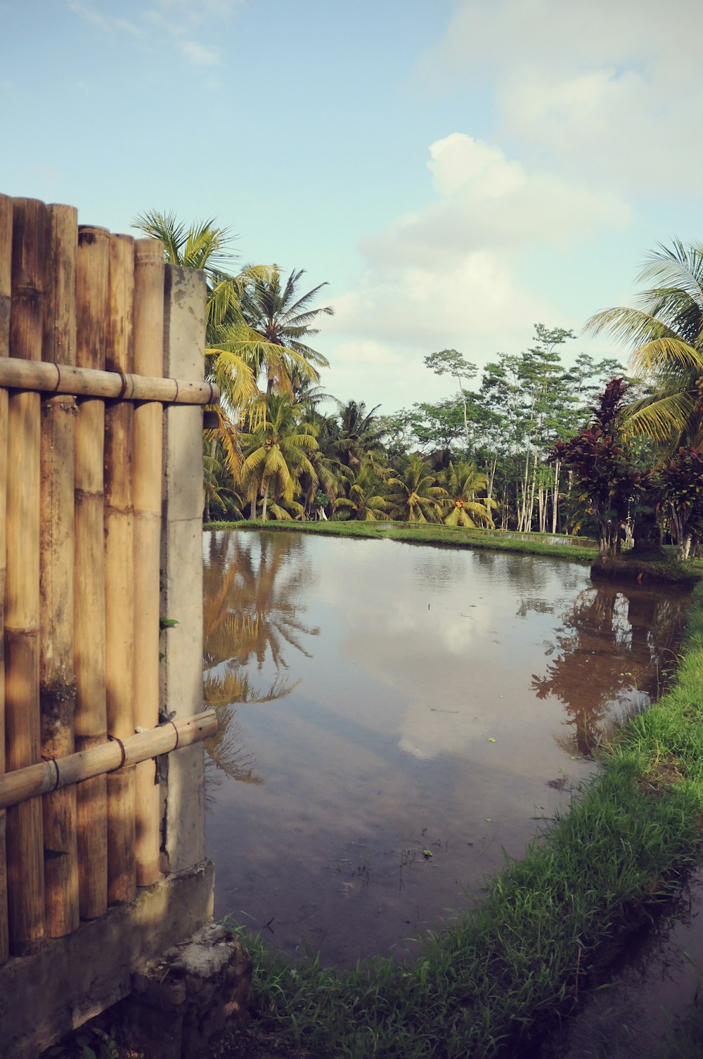 a large body of water surrounded by palm trees