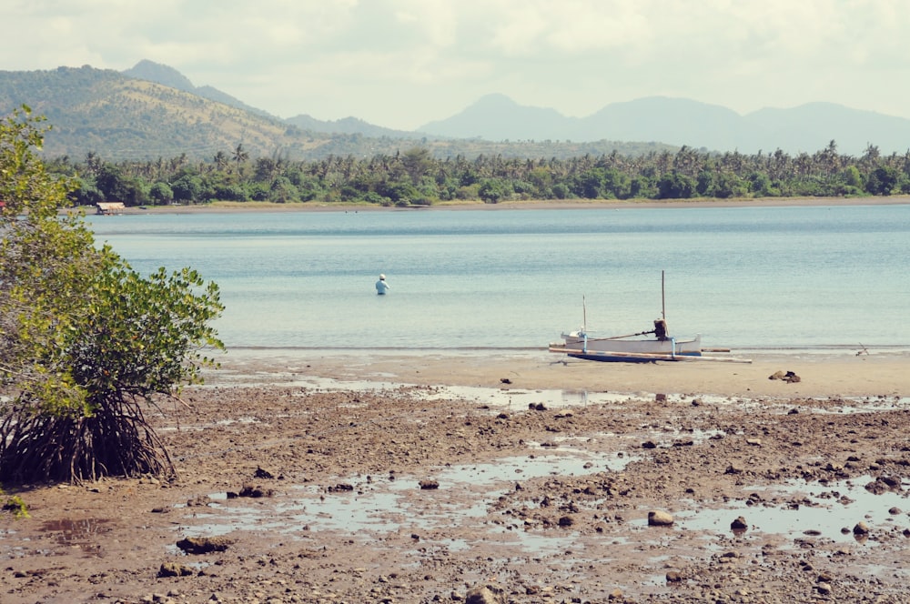 a boat sitting on top of a beach next to a body of water