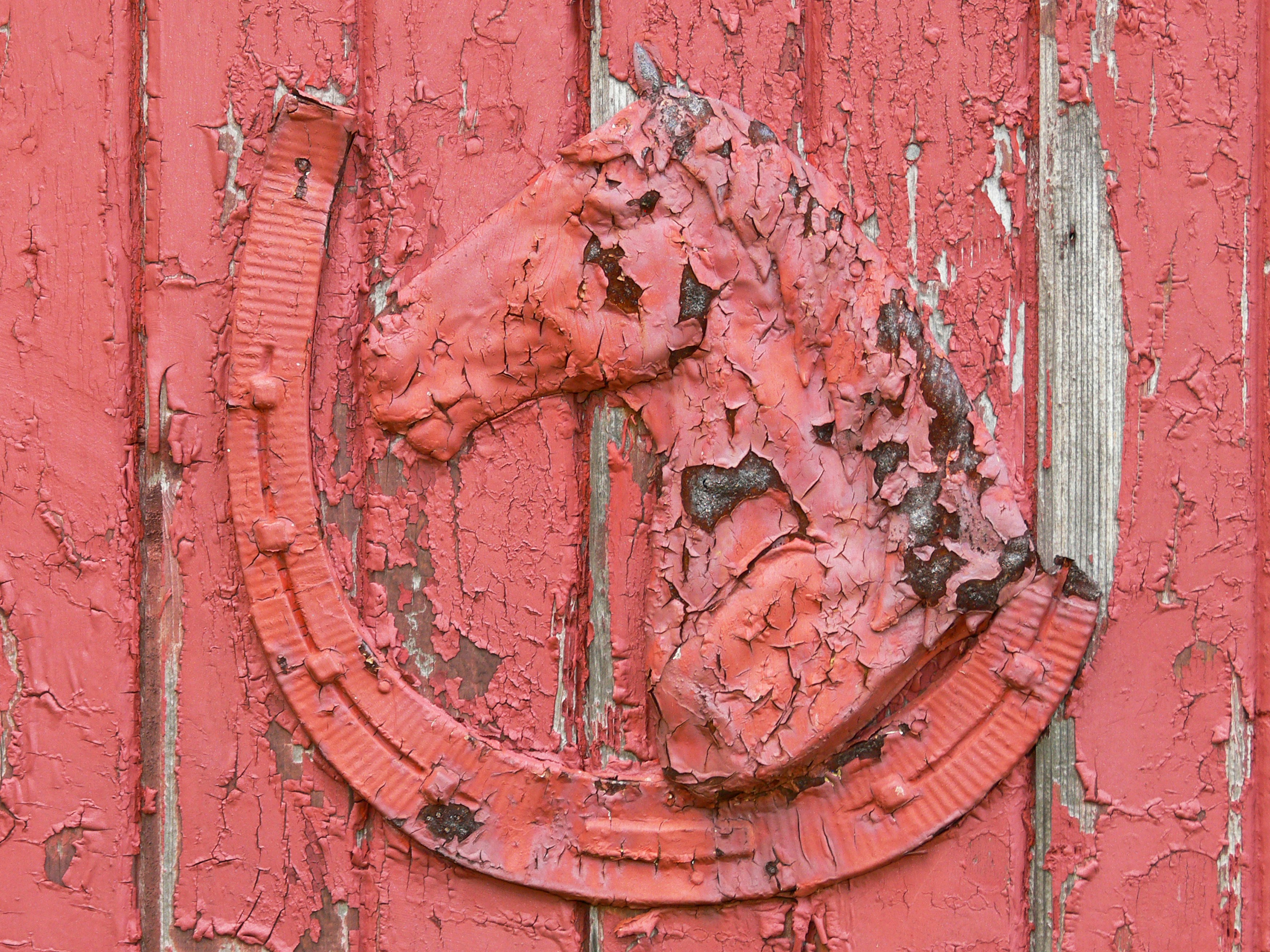a horse head is painted on the side of a building