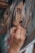 A hand is holding a brush, carefully painting the details on a portrait. The image captures the close-up of the hand in the act of painting, focusing on the delicate brush strokes being added to the lips and face of the portrait. The artwork appears to depict an expressive face with abstract and loose brushwork.