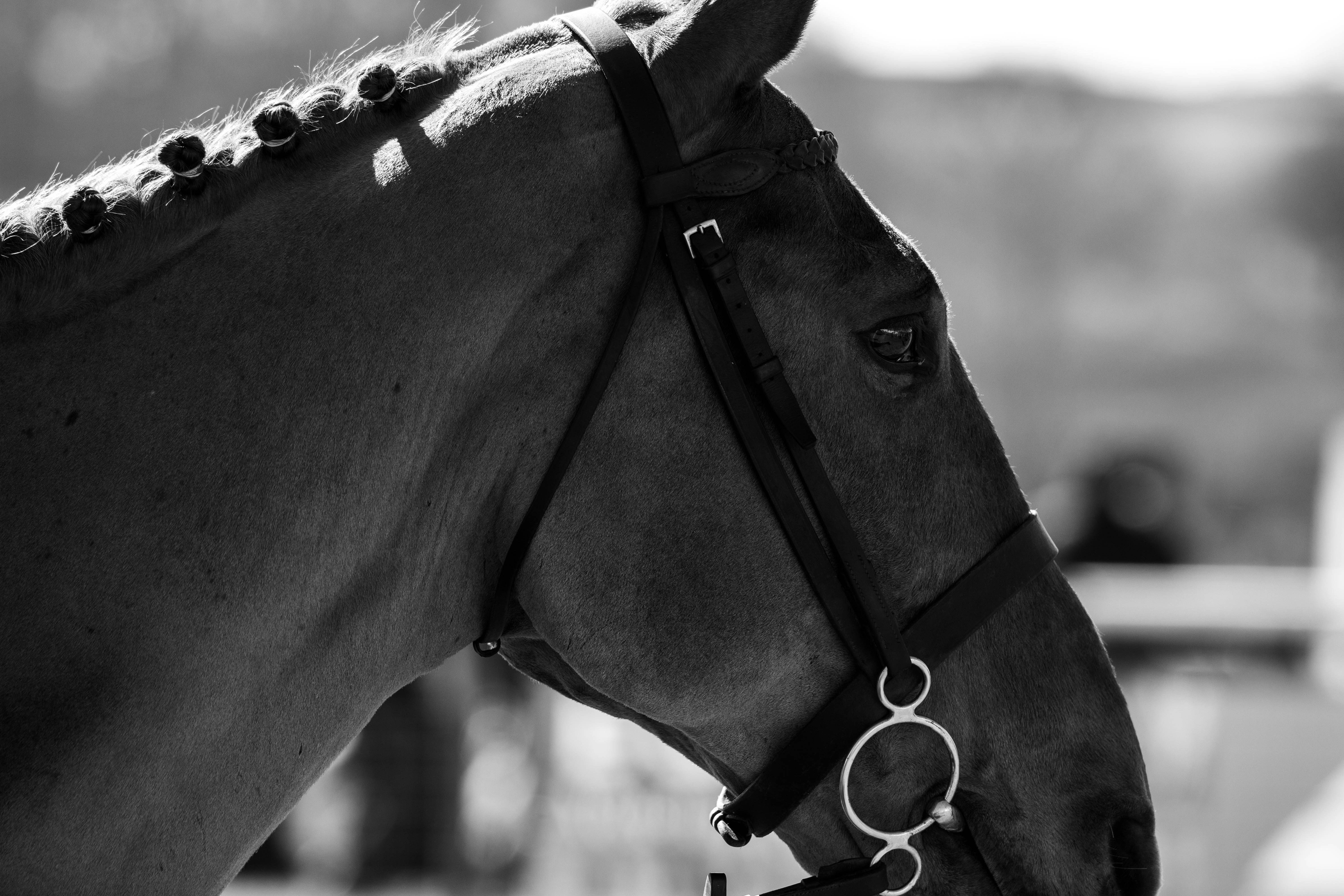 Photo by maplerockdesign