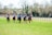 A group of jockeys are riding horses at full speed across a grassy field, with trees and a fence in the background. The jockeys are wearing colorful racing attire, including helmets and eye coverings, while the horses are equipped with saddles and bridles.