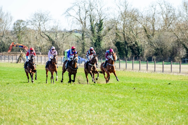 A group of jockeys are riding horses at full speed across a grassy field, with trees and a fence in the background. The jockeys are wearing colorful racing attire, including helmets and eye coverings, while the horses are equipped with saddles and bridles.