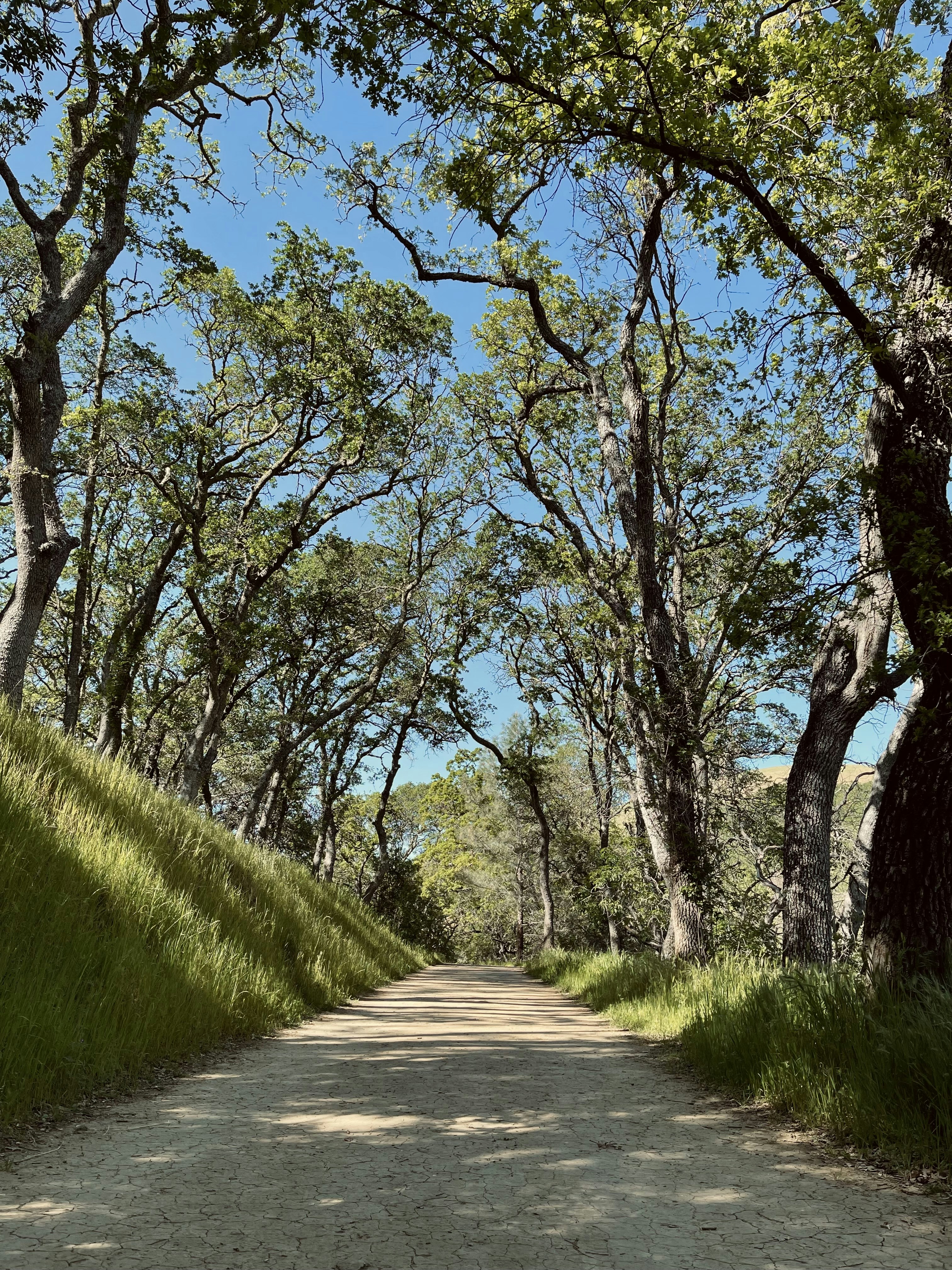 Photo by aleena_janjua