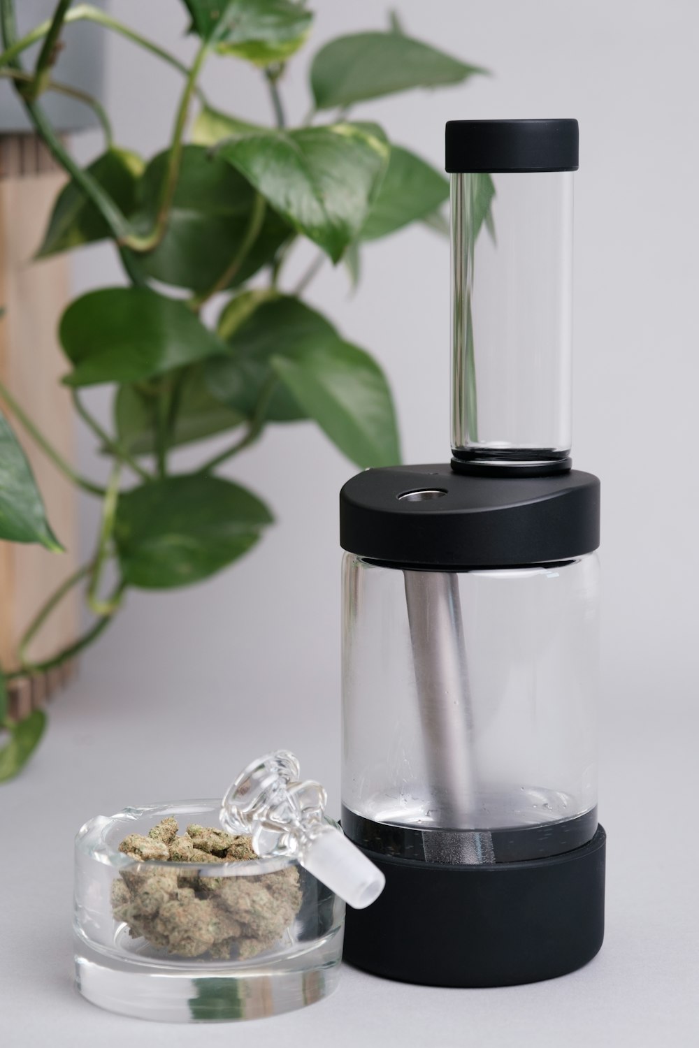 a blender sitting next to a potted plant