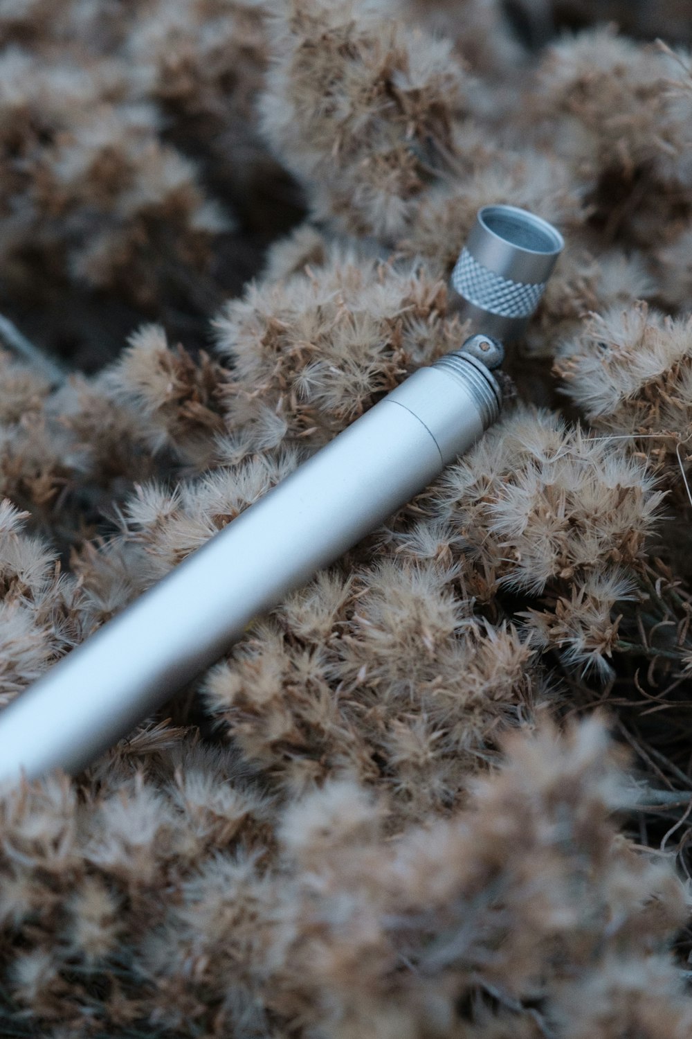 a close up of a metal object on a bed of grass