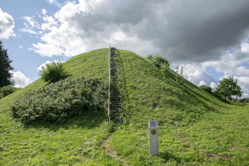 a large mound of grass with a metal meter in the foreground