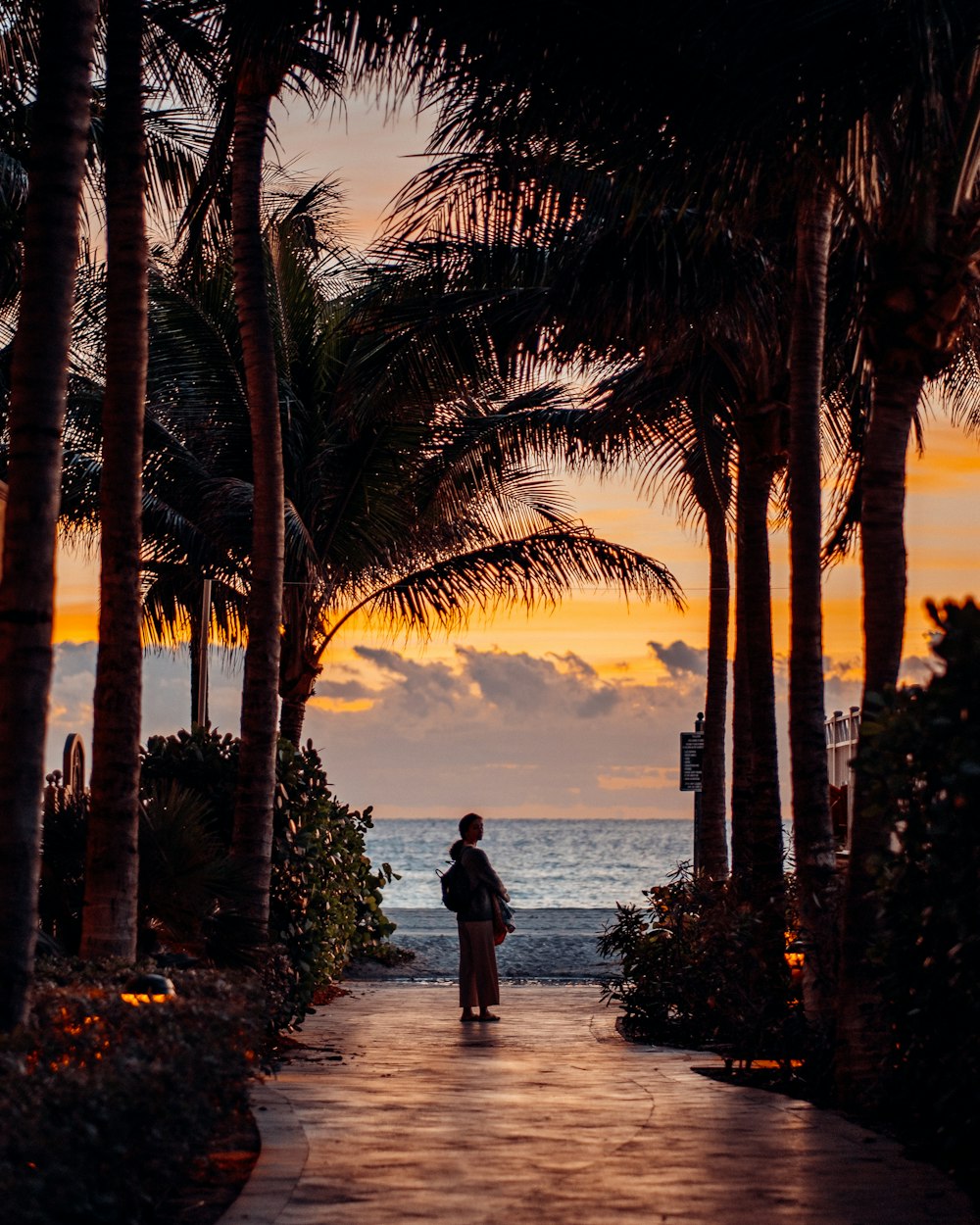 a person walking down a path between palm trees