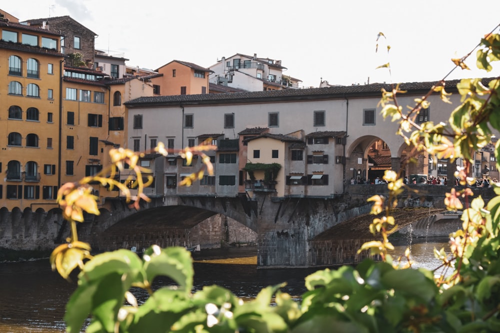 a bridge over a river with buildings in the background