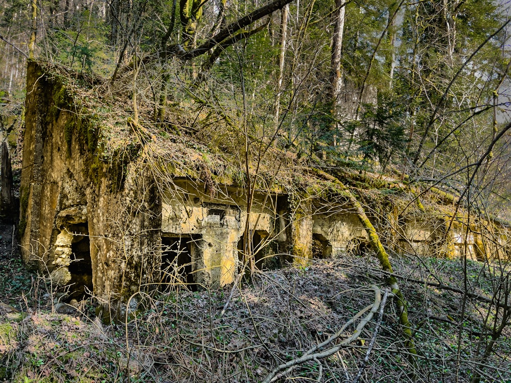 uma velha casa degradada na floresta