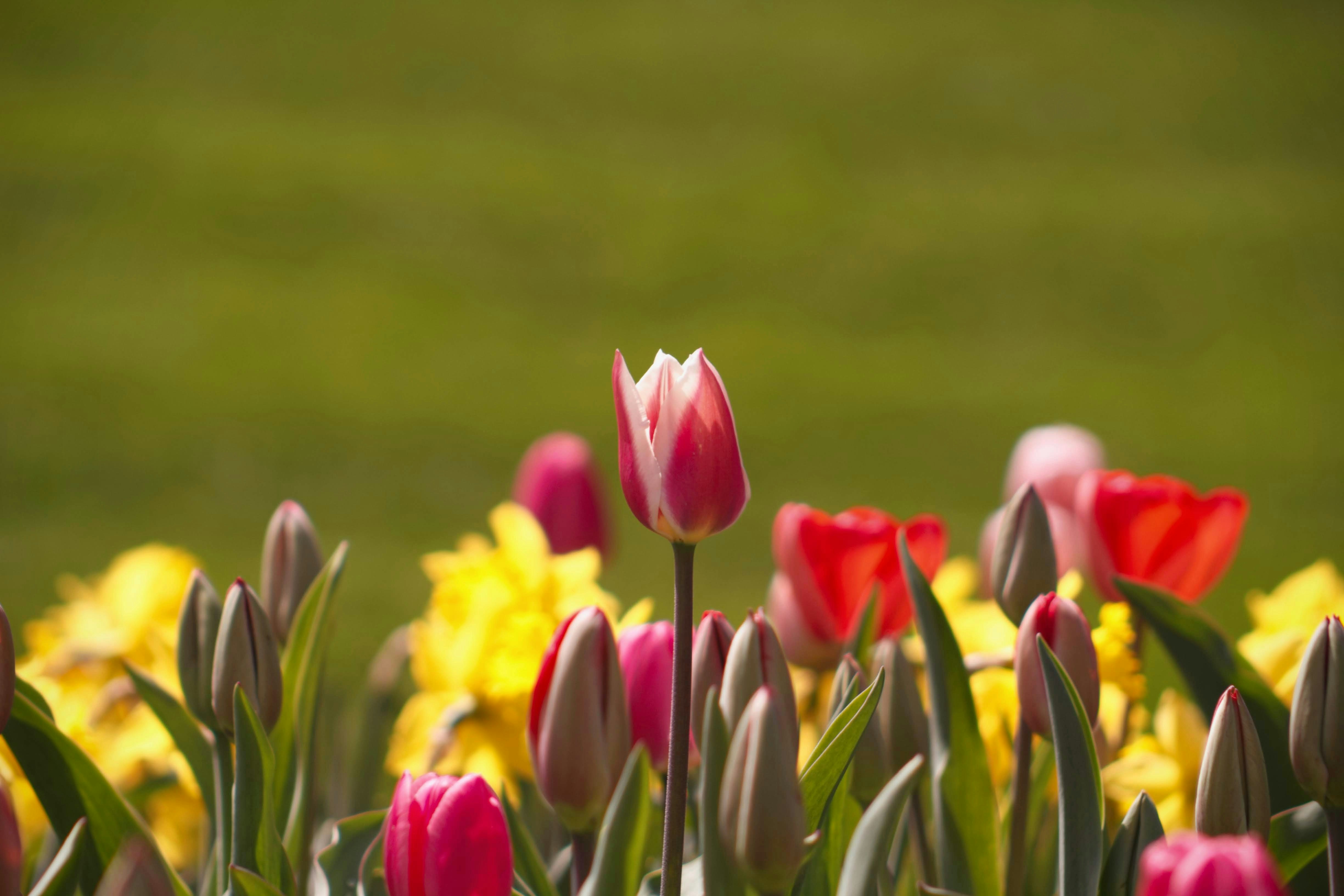 Photo by joshua_hoehne