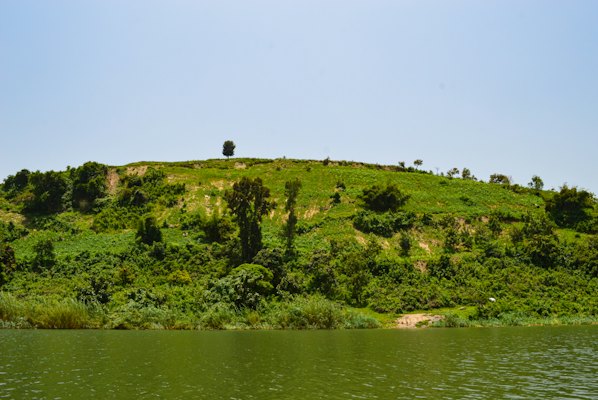 A green hillside above the water — Lake Kivu, Rwanda