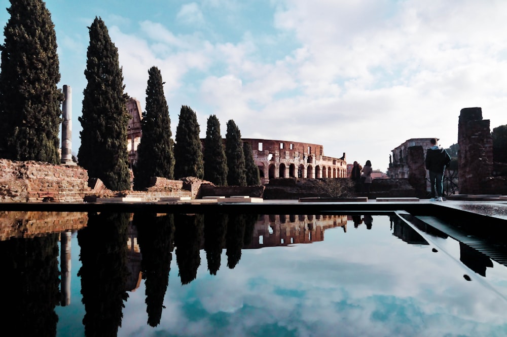 a large body of water surrounded by trees