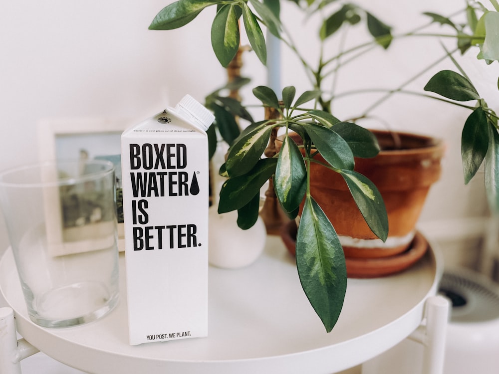 a box of water sitting on a table next to a potted plant