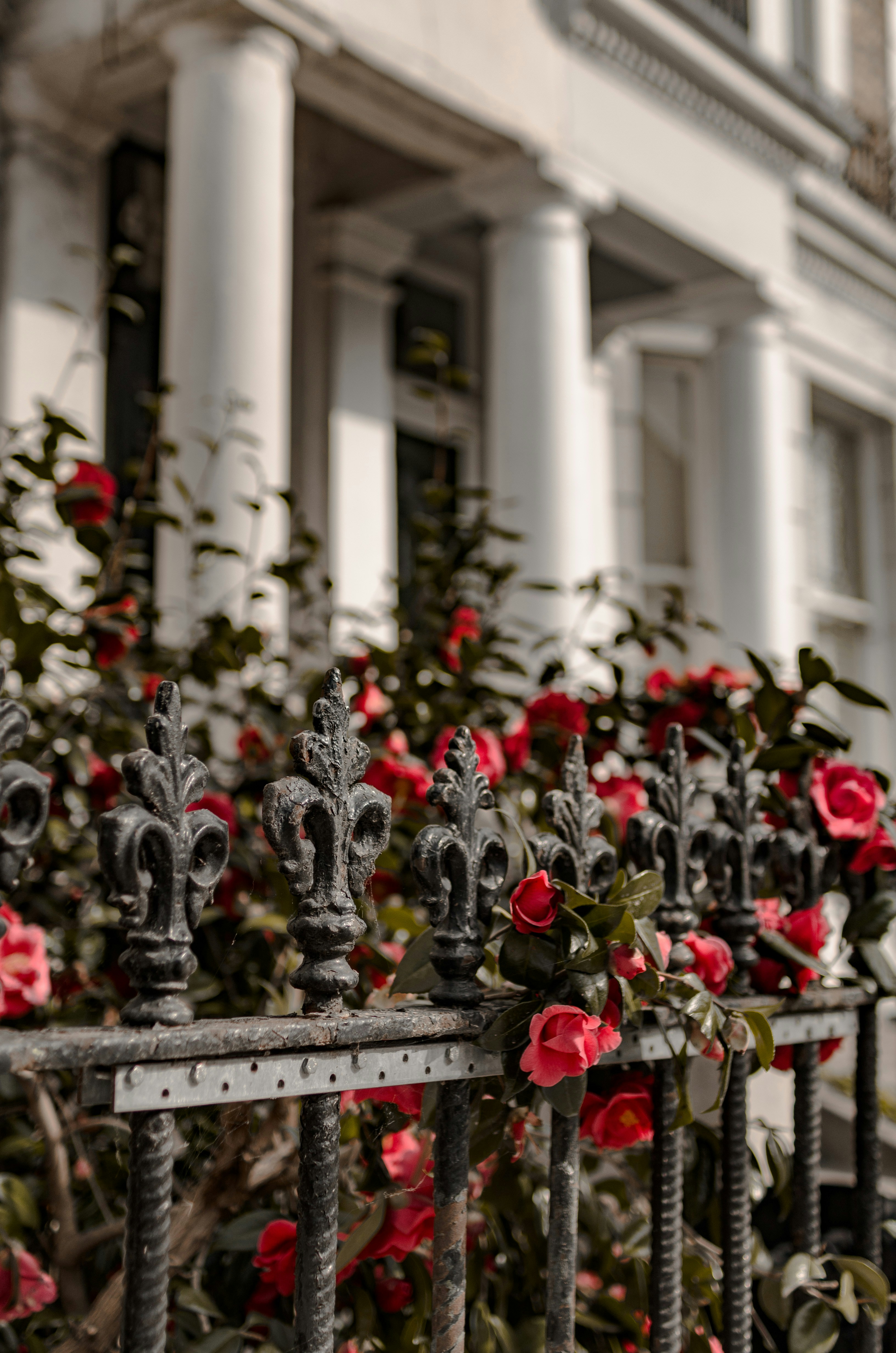 Photo by gamanalice3012