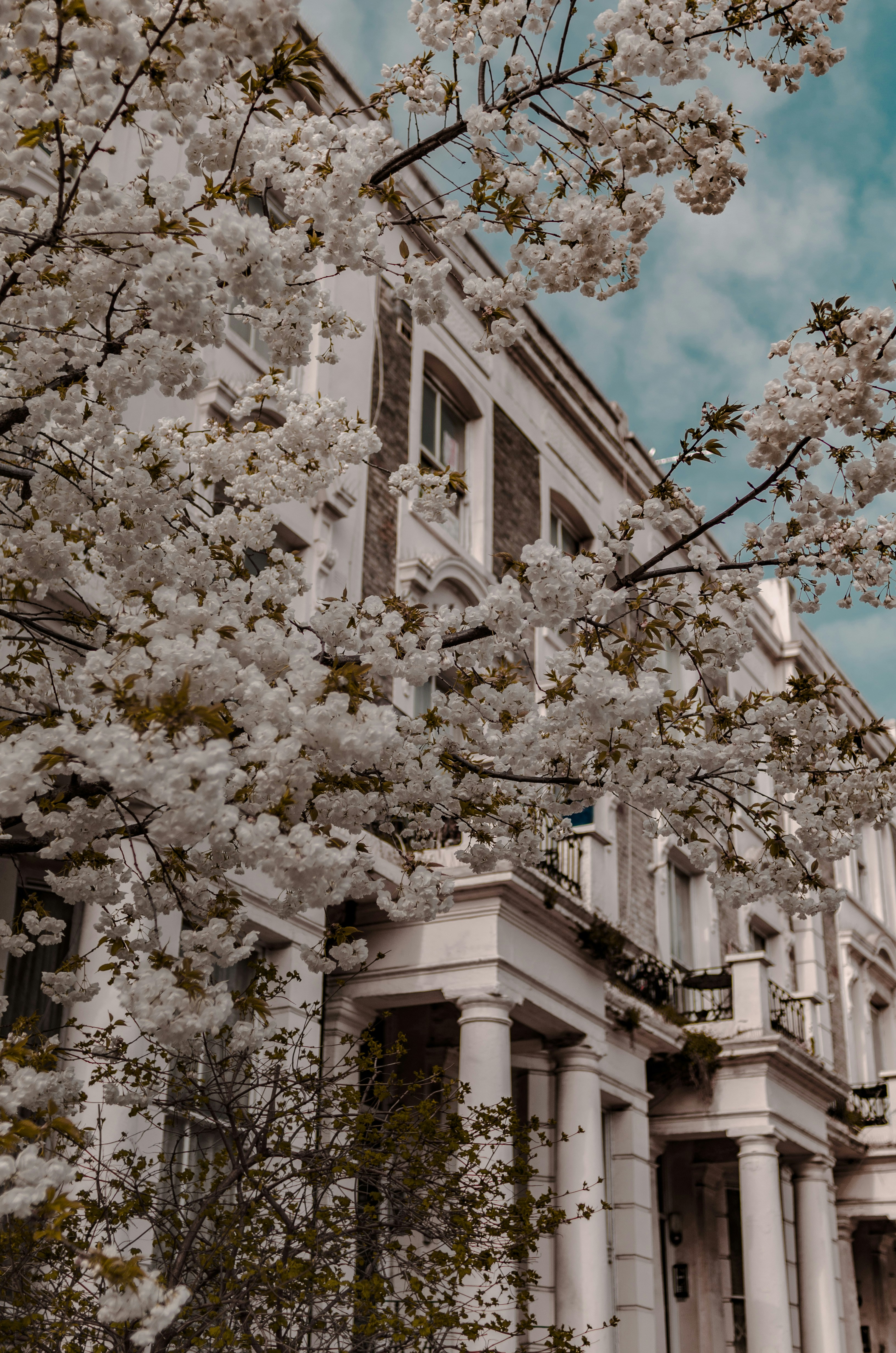 Photo by gamanalice3012