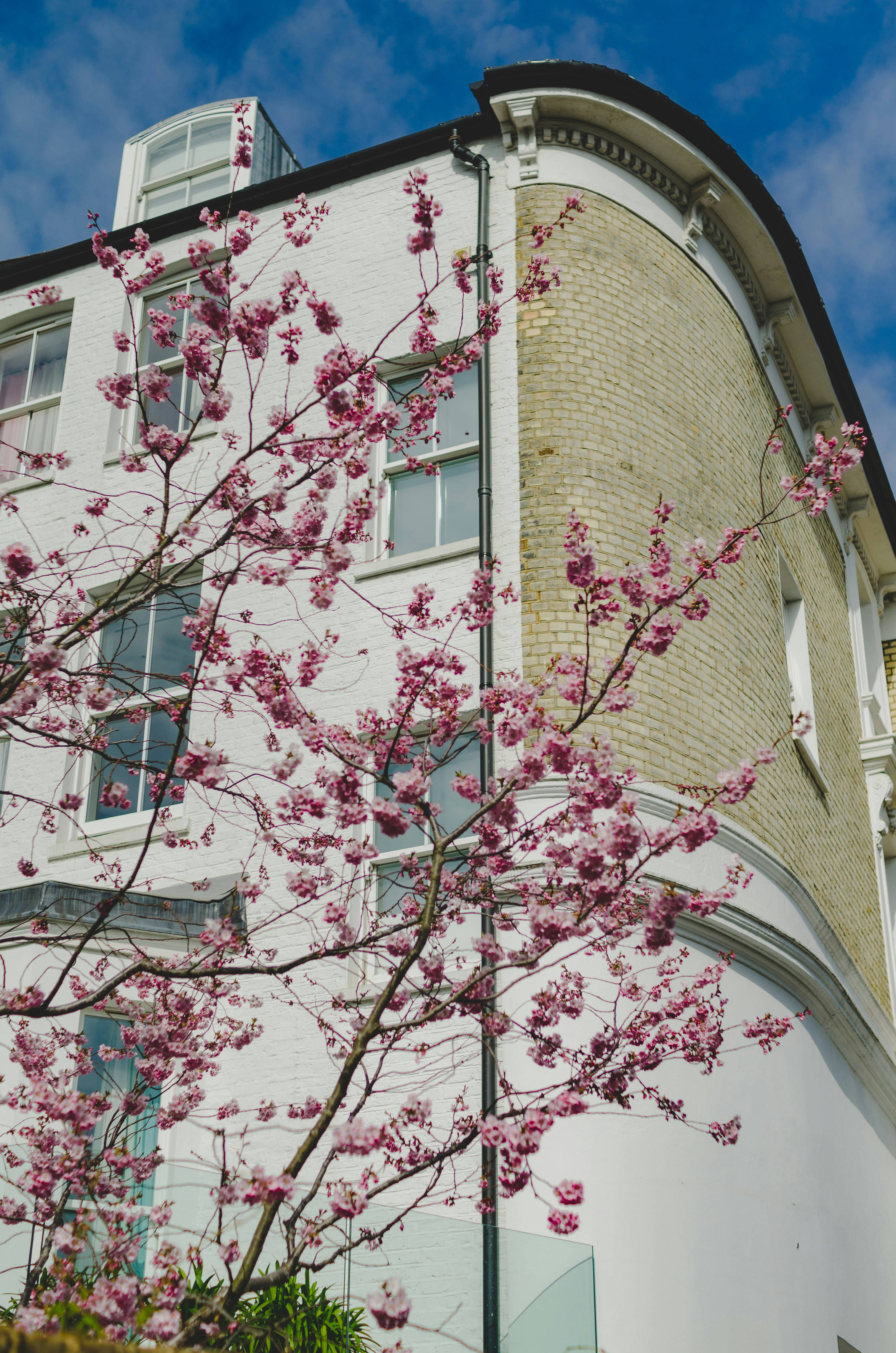 Photo by gamanalice3012