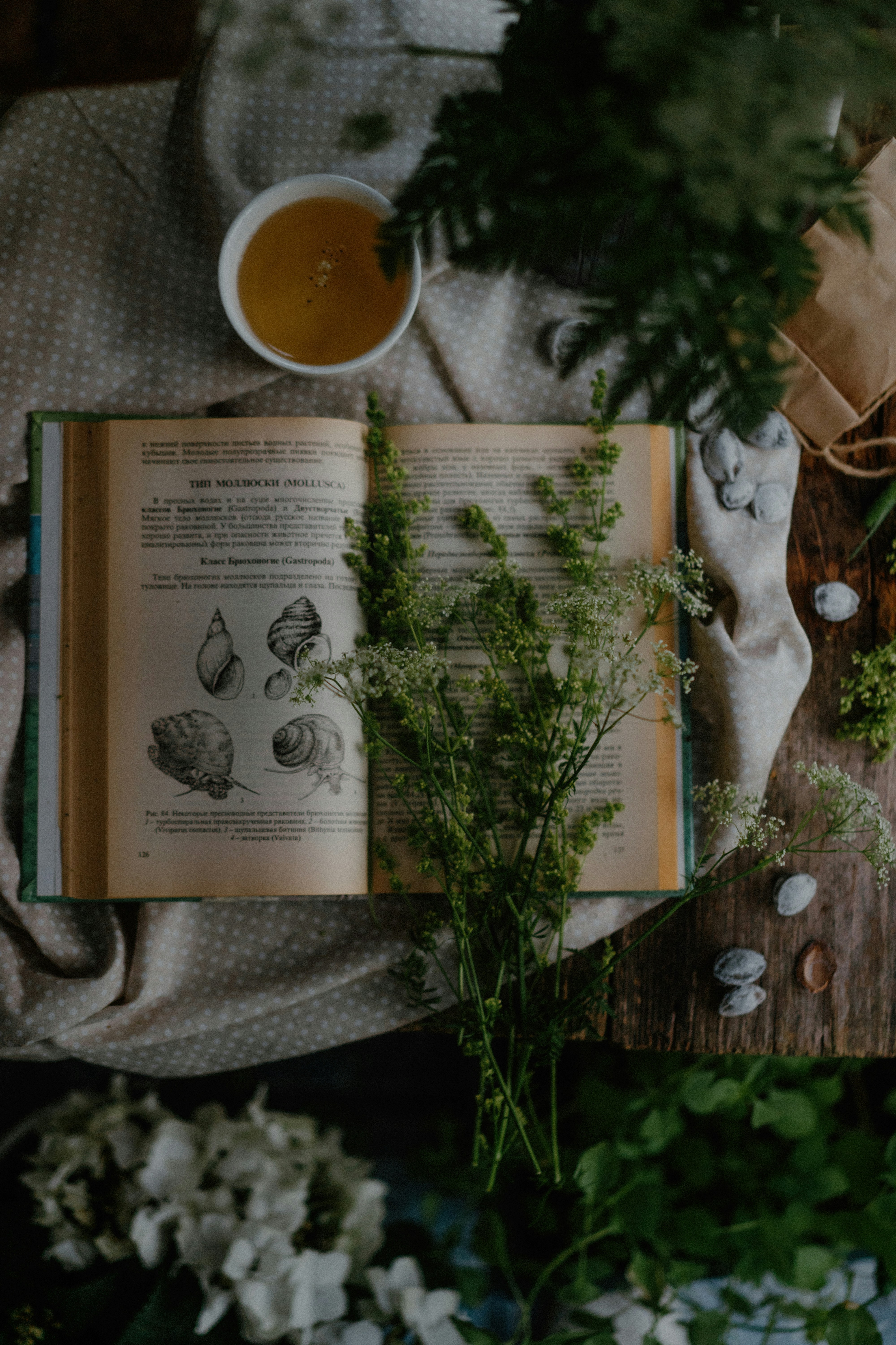 Calm & Creative Journal