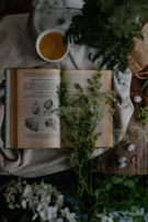 Book cover of 'Nature’s Remedies' with soft teal accents and a calming botanical illustration.