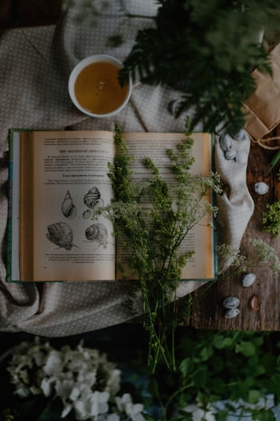 An open book with botanical illustrations lies on a soft, dotted fabric with sprigs of greenery placed on top. A cup of tea sits nearby, surrounded by pebbles and more greenery, creating a serene, nature-themed setting.